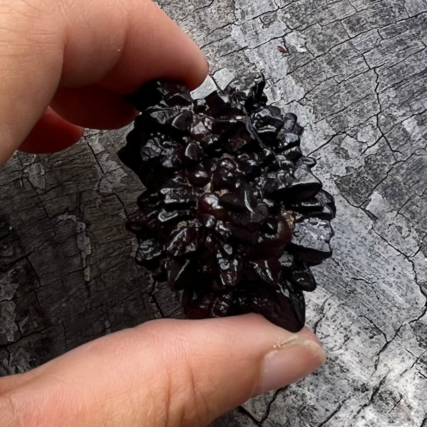 Prophecy Stone ~ Specialty Crystal ~ 2