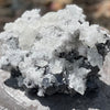 Natural Apophyllite on Black Tourmaline Cluster