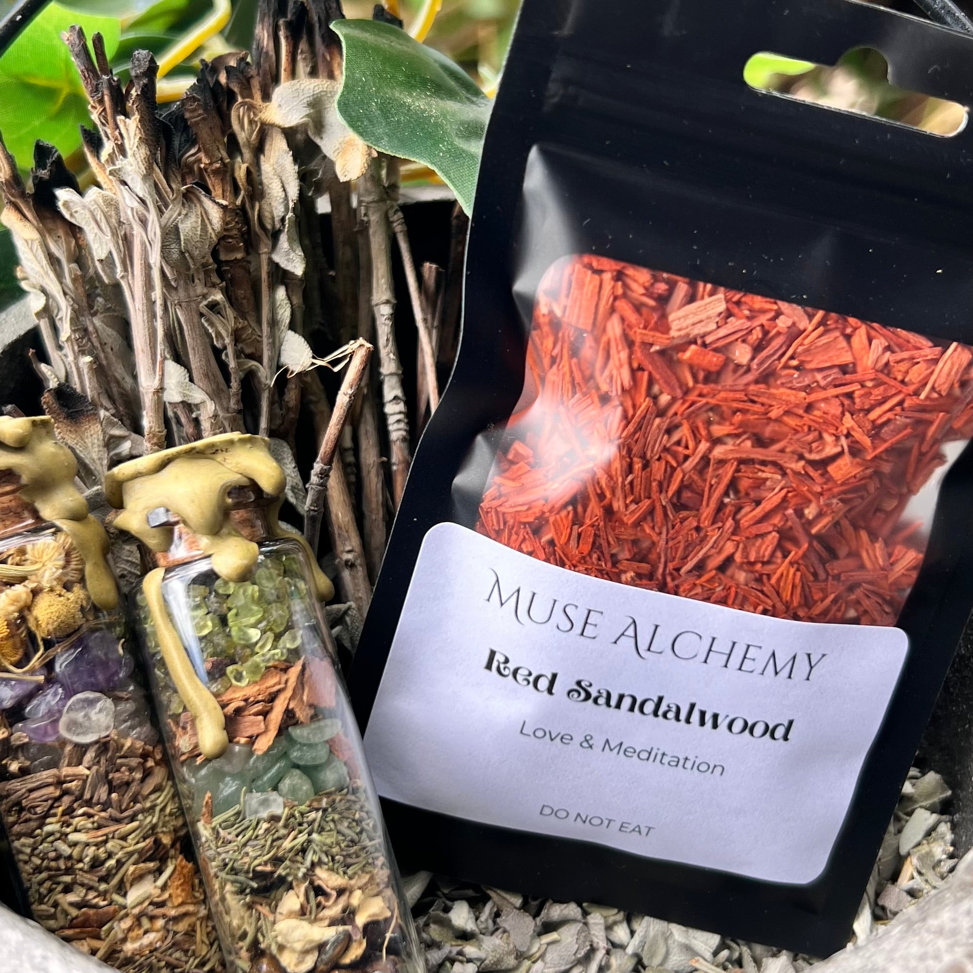 Red Sandalwood ~ Muse Alchemy Botanicals