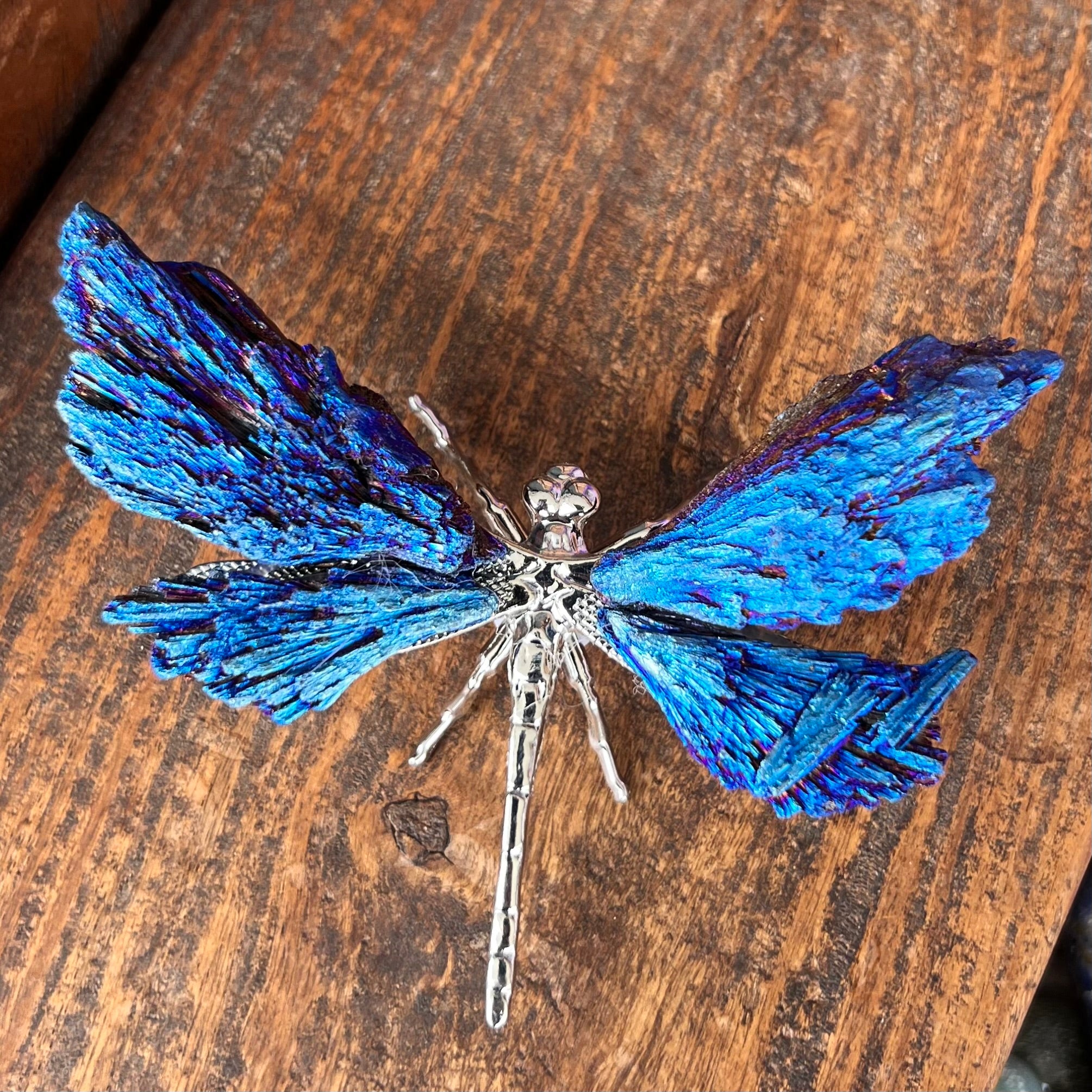 Dragon Fly ~ Blue Kyanite Electroplate