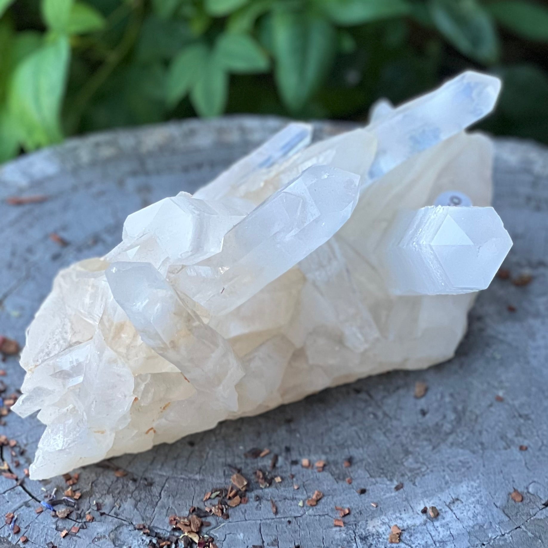 Clear Quartz Raw Cluster