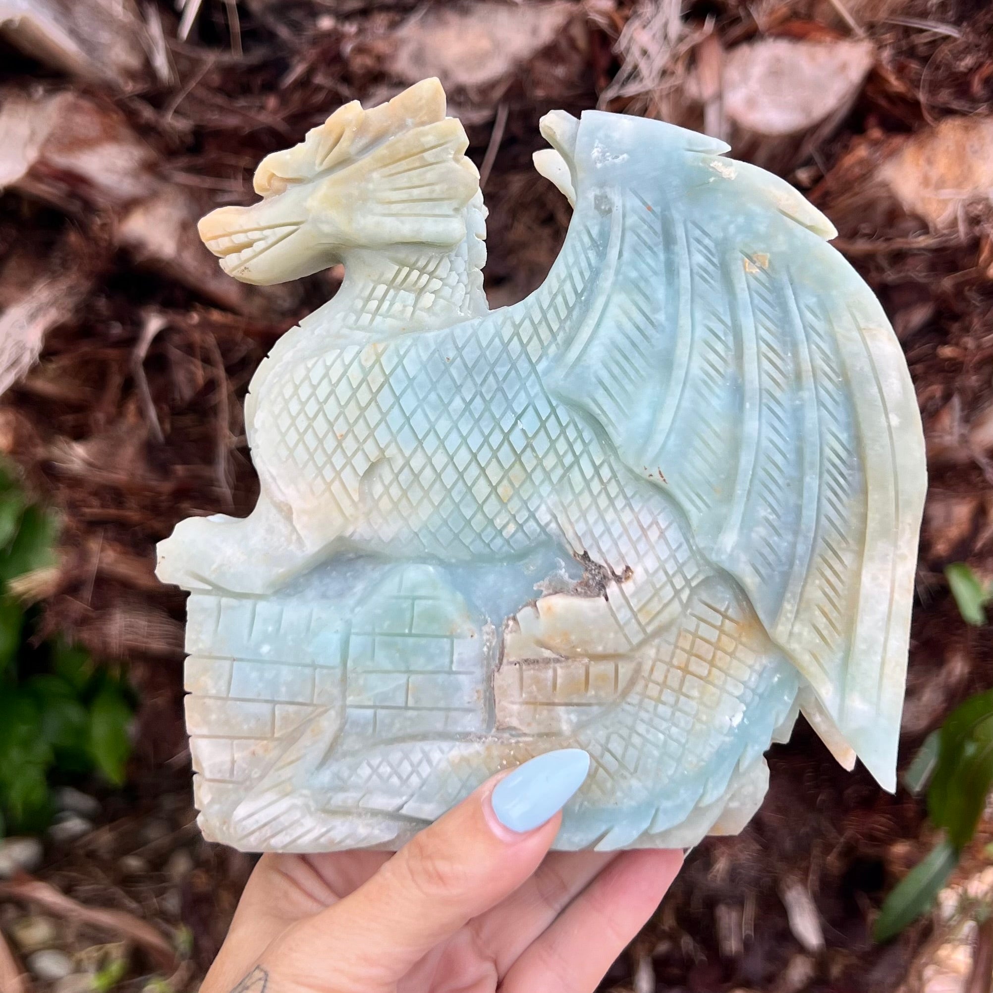 Caribbean Calcite Dragon Carving