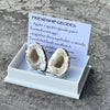 Agate Friendship Geodes ~ Specialty Boxed Crystal