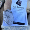 Black Tourmaline in Quartz Palm Stone