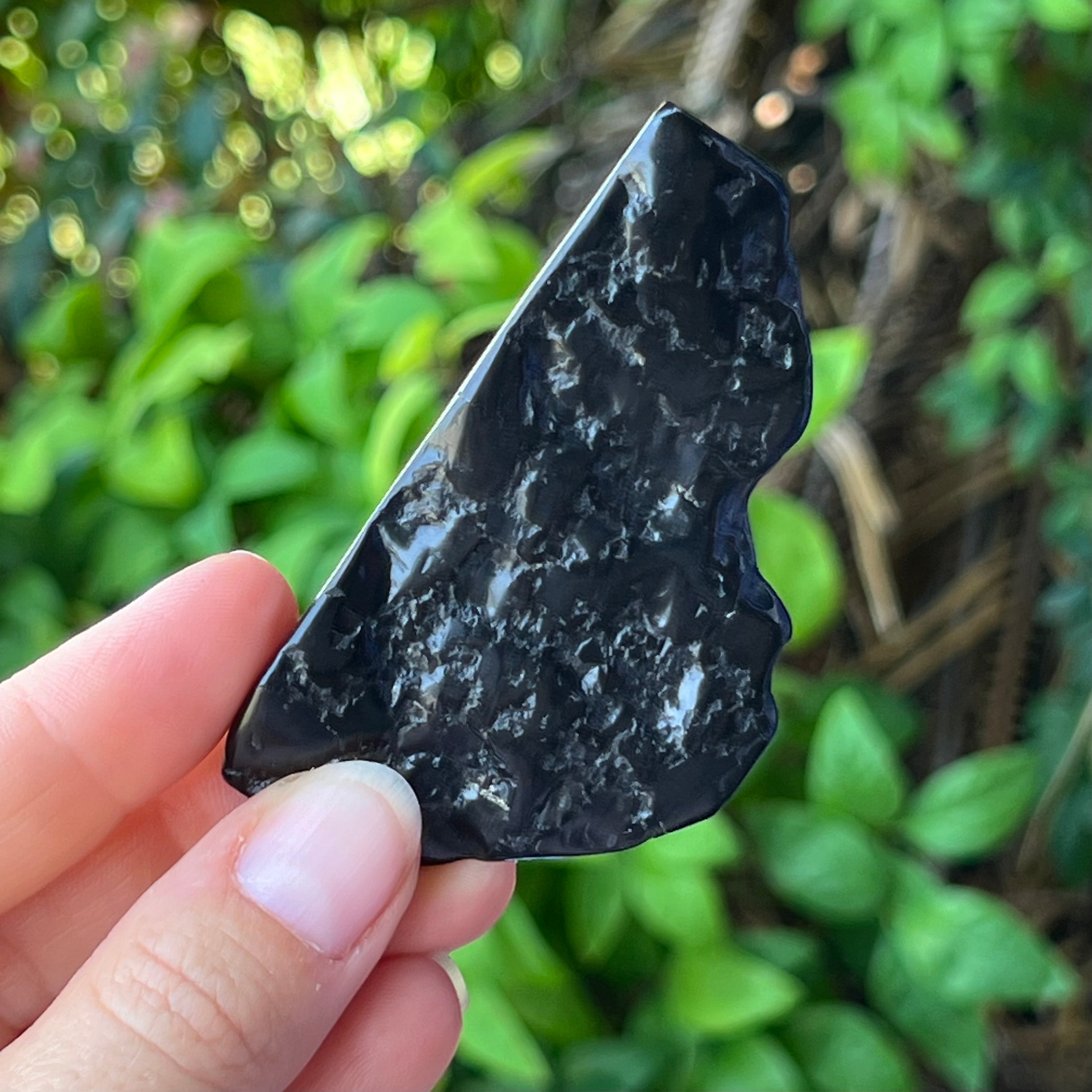 Shungite Piece