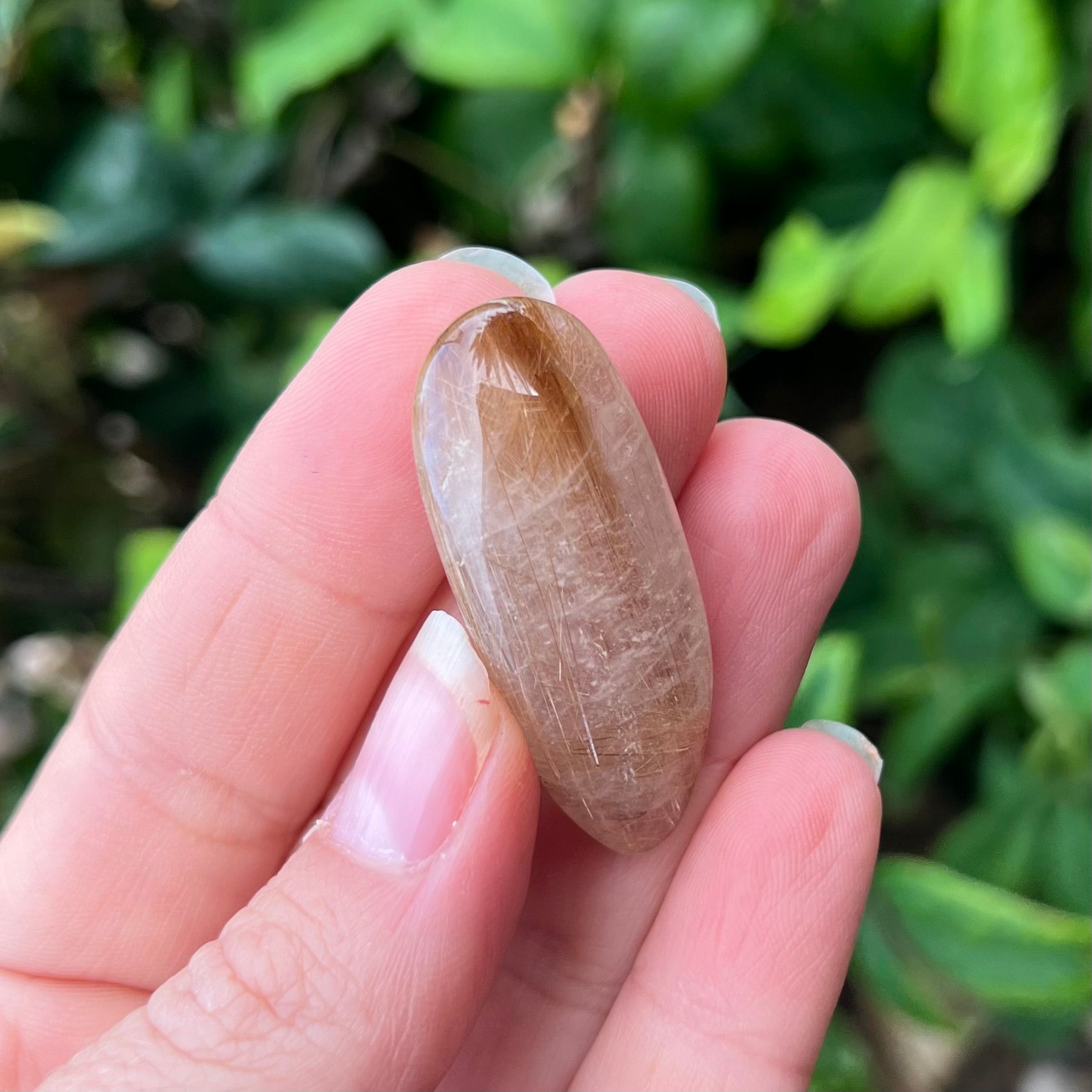 Rutilated Quartz ~ Rare Specialty Crystal