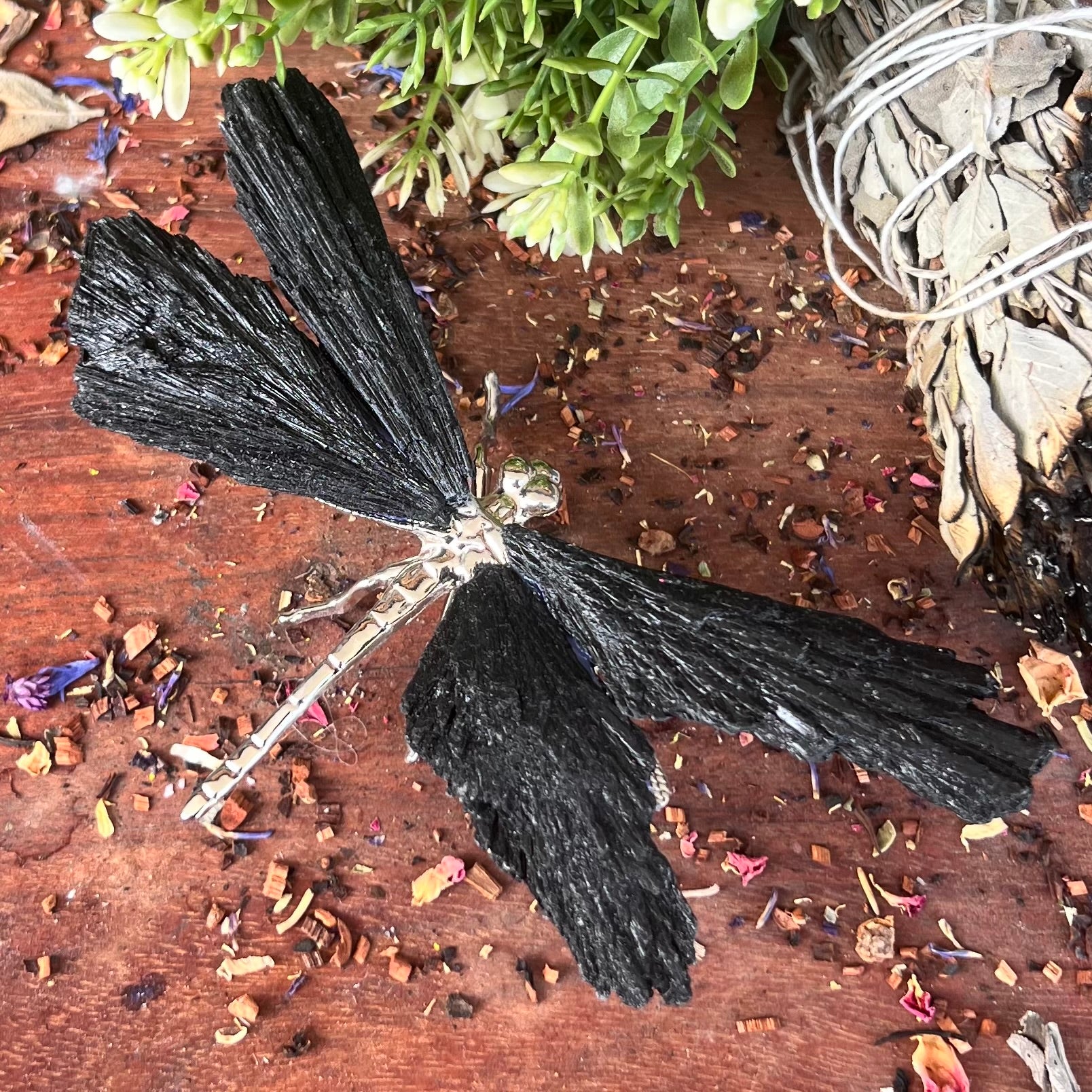 Dragon Fly ~ Black Kyanite Electroplate