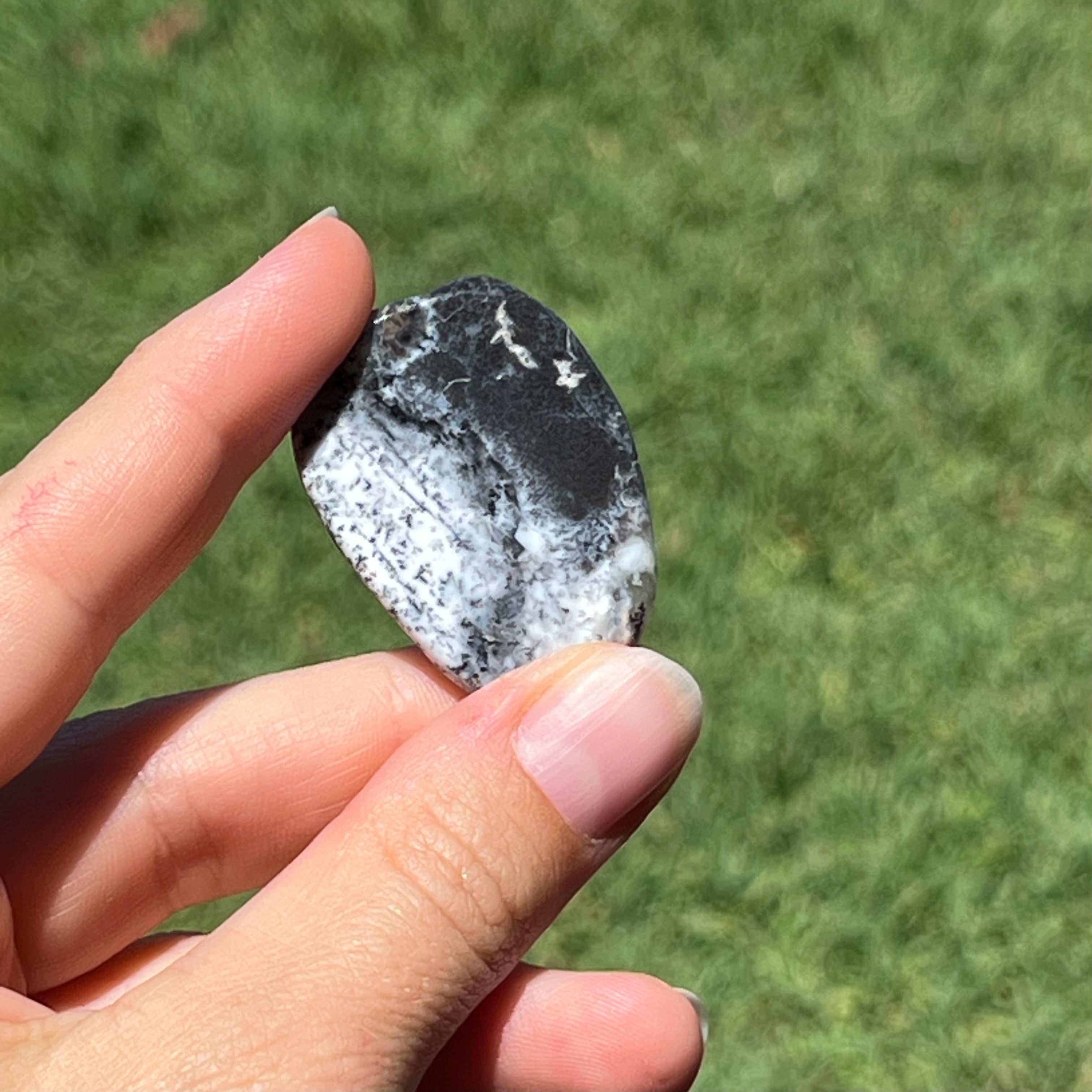 Merlinite ~ Specialty Boxed Crystal