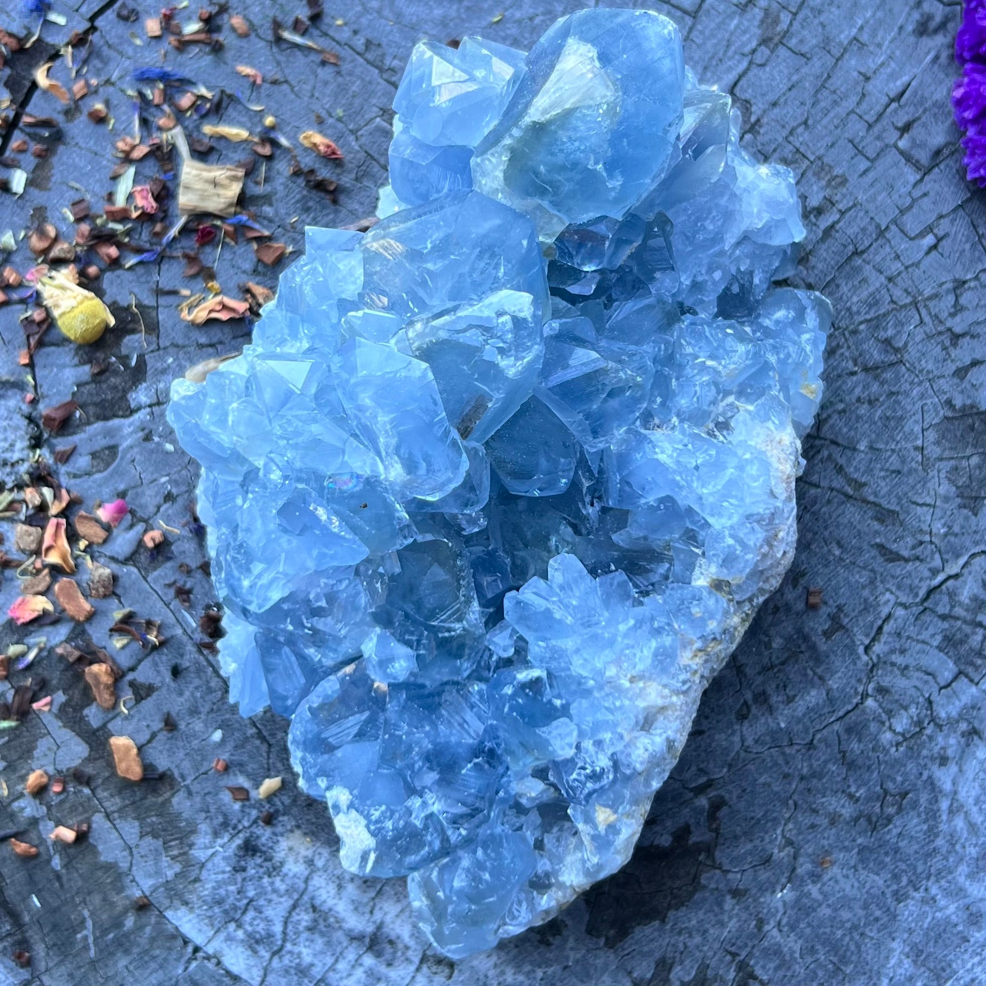 Celestite Cluster
