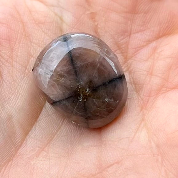 Chiastolite Protection Tumbled Specialty Crystal (1)