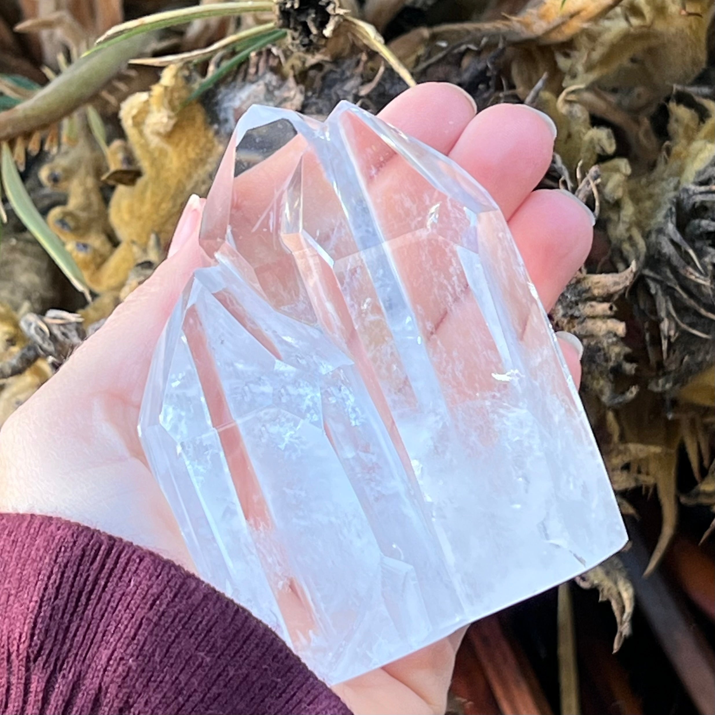 Clear Quartz Family Cluster