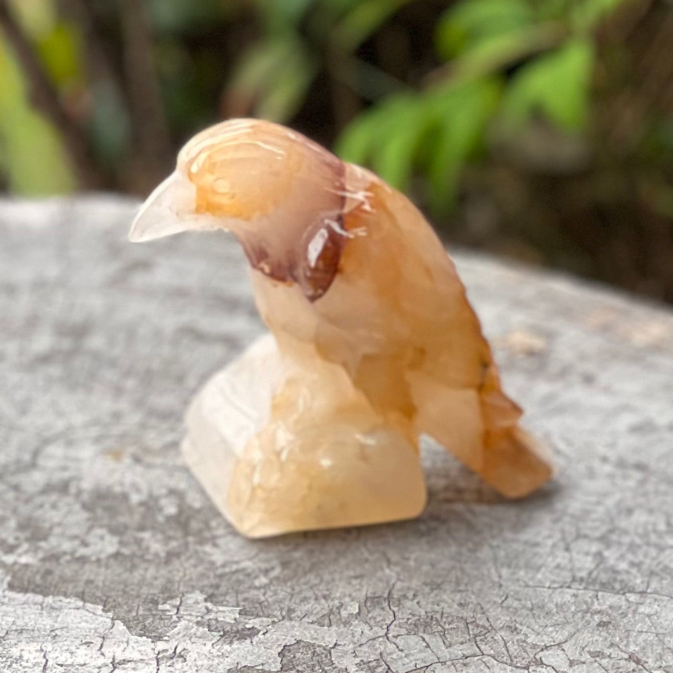 Raven Carving ~ Golden Healer