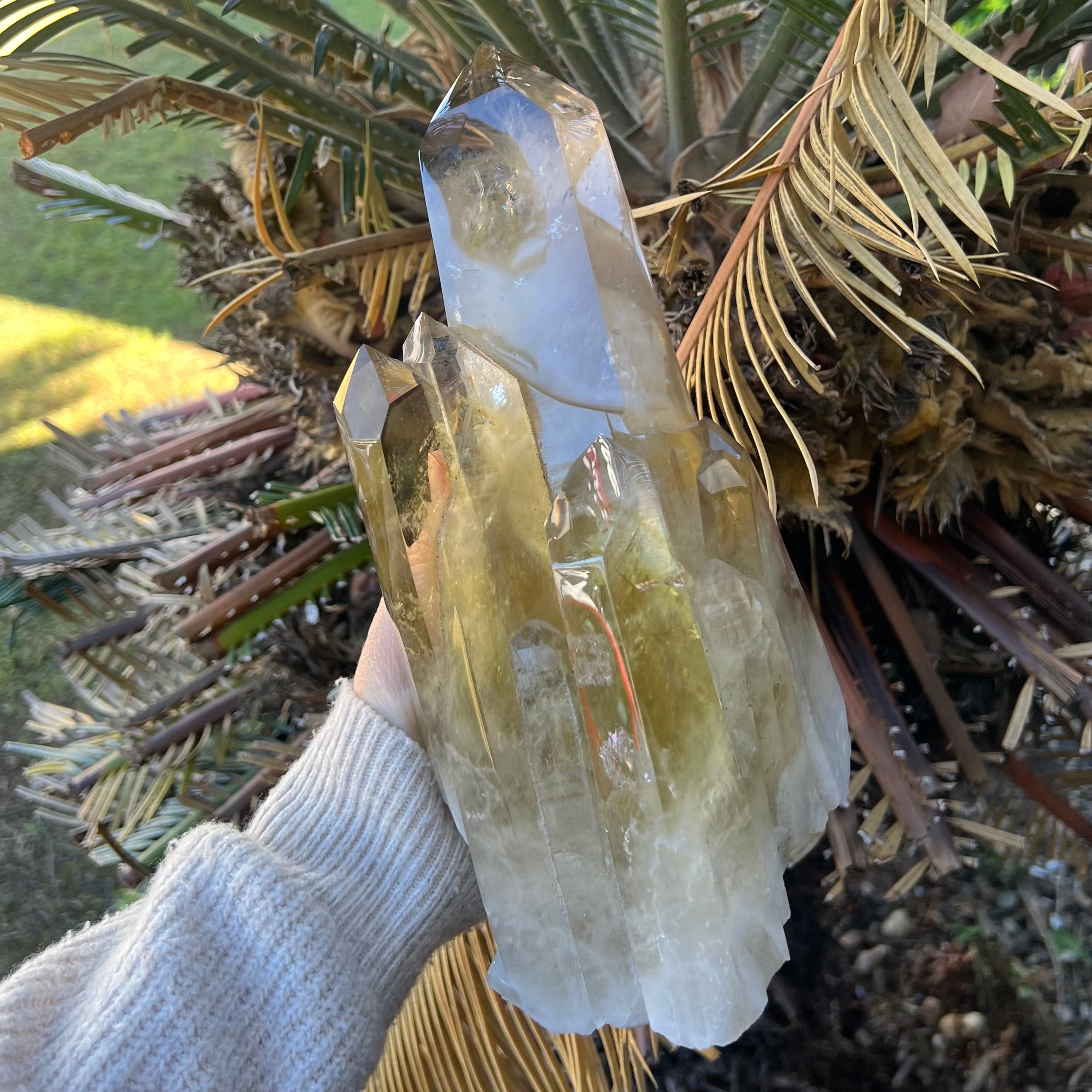 Spectacular Citrine Point Cluster on Stand