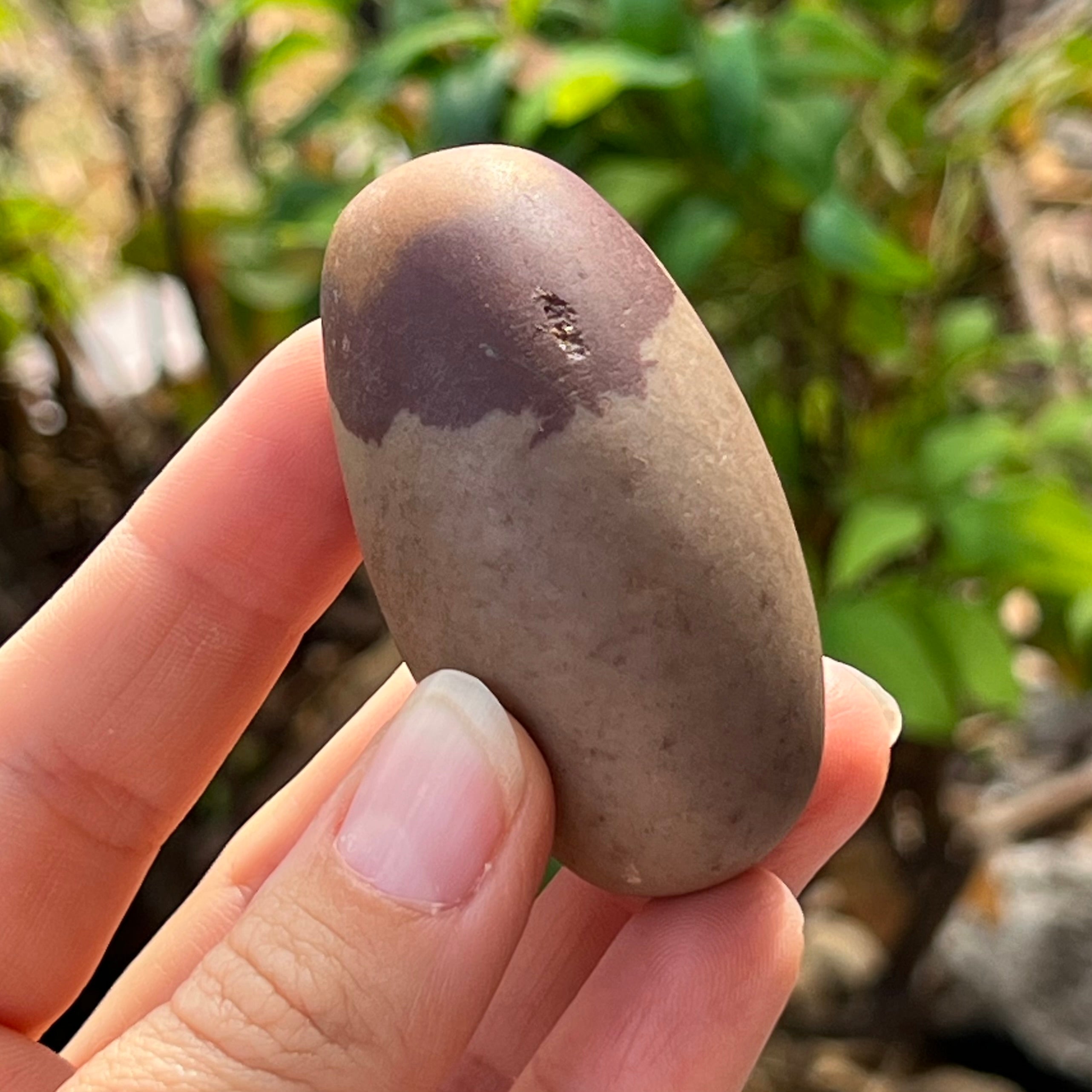 Shiva Lingham ~ Specialty Boxed Crystal