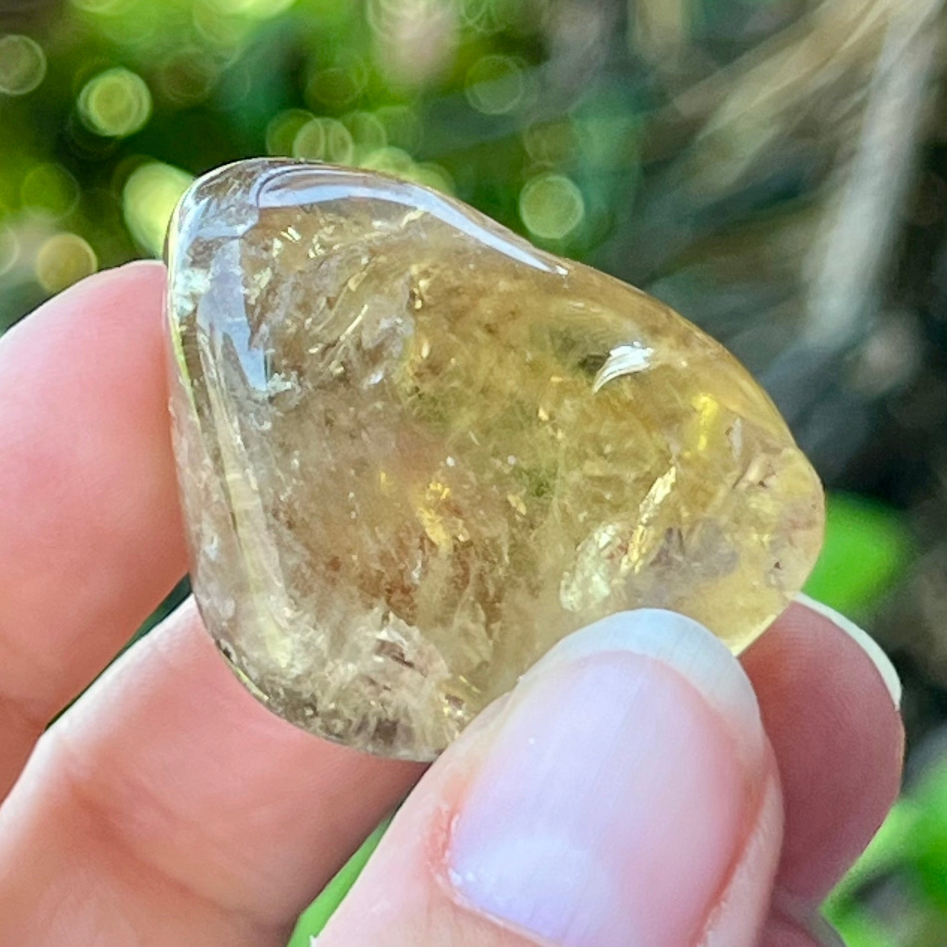 Natural Citrine ~ Specialty Boxed Crystal