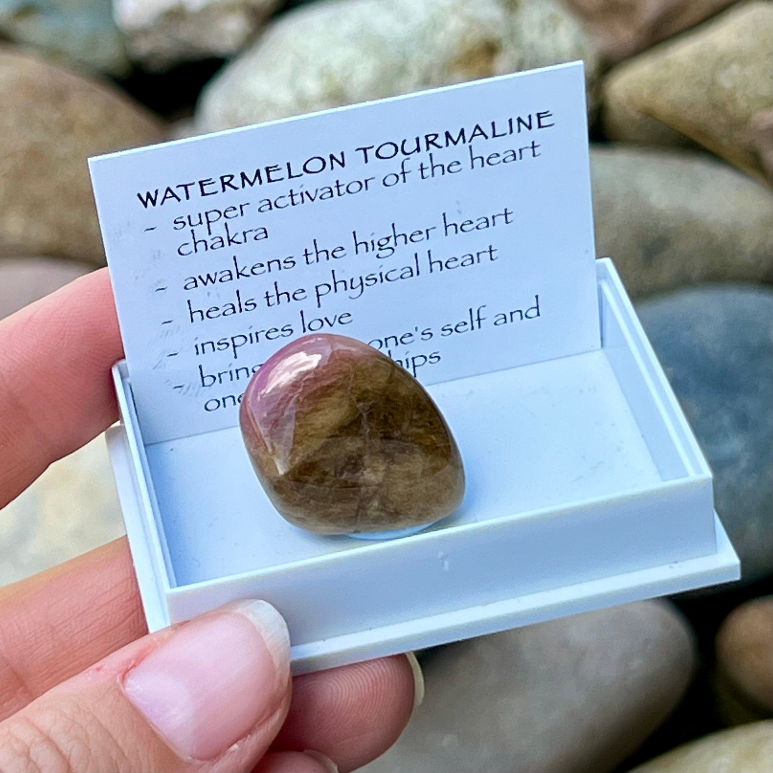 Watermelon Tourmaline ~ Specialty Boxed Crystal