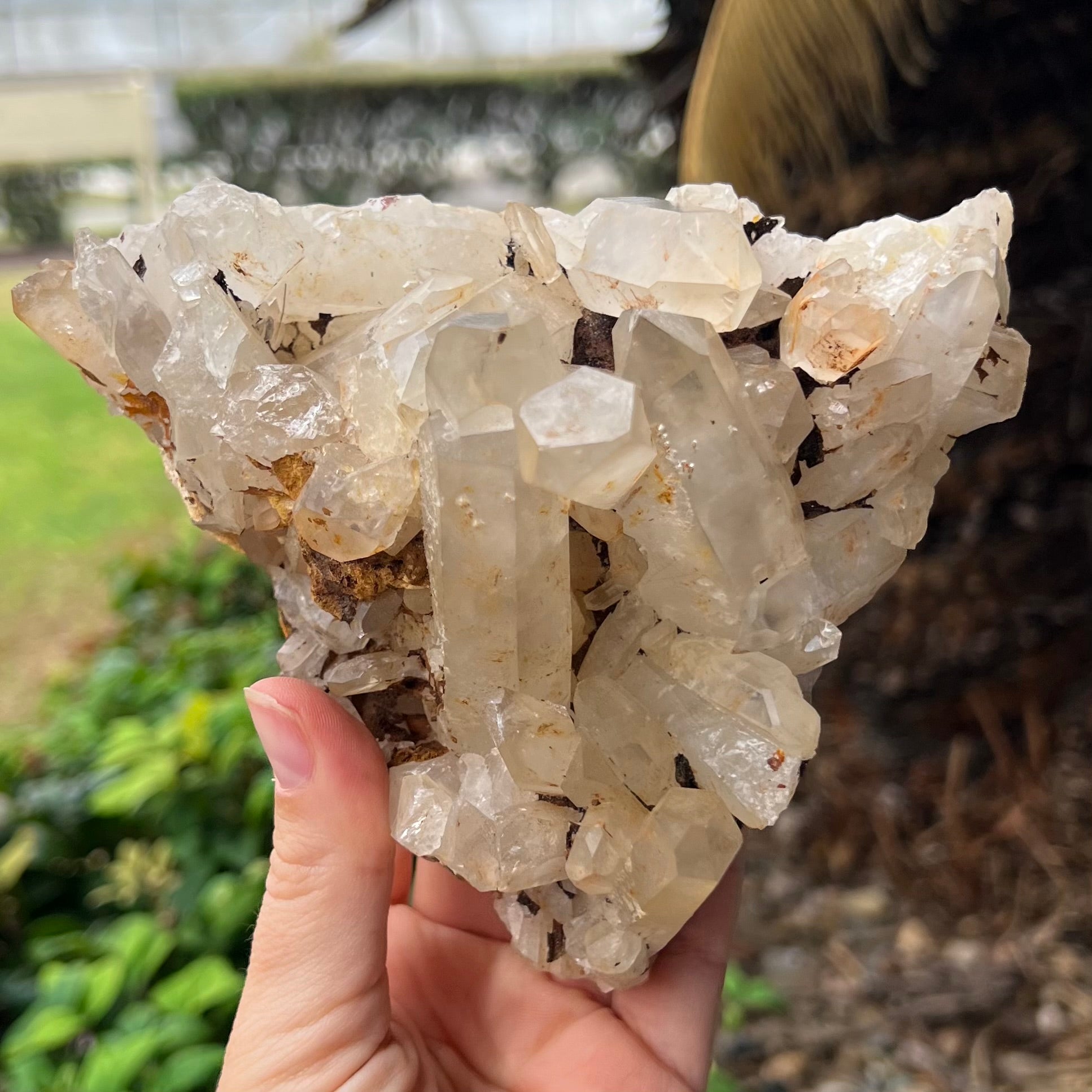 Clear Quartz Cluster