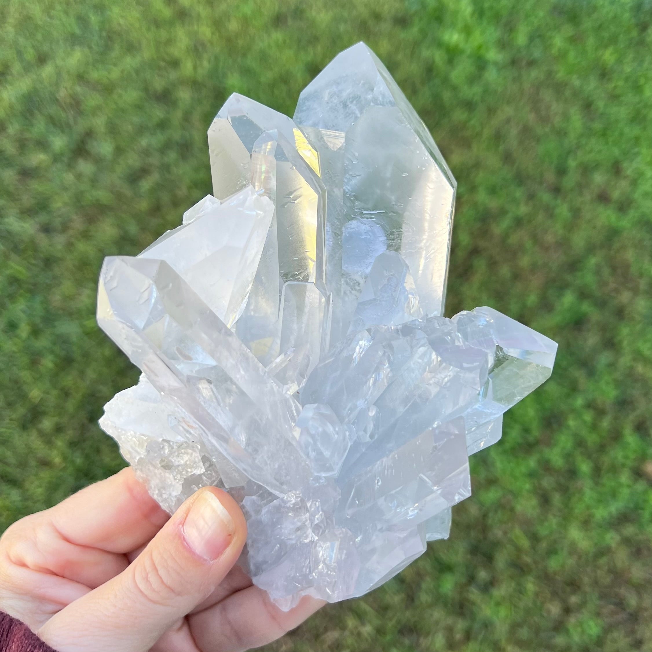 Clear Quartz Family Cluster