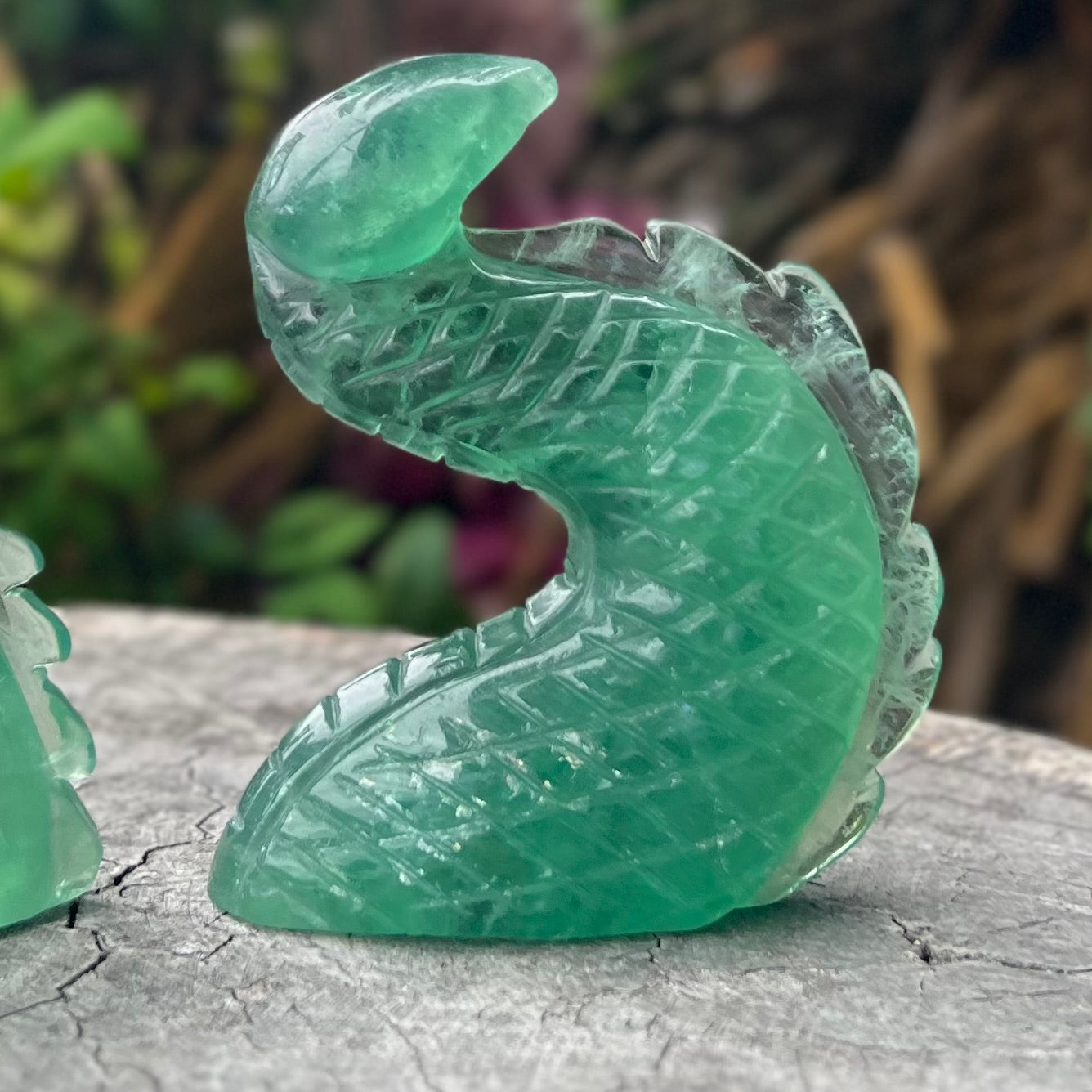 Green Fluorite Sea Dragon Carving ~ 3 Piece Set