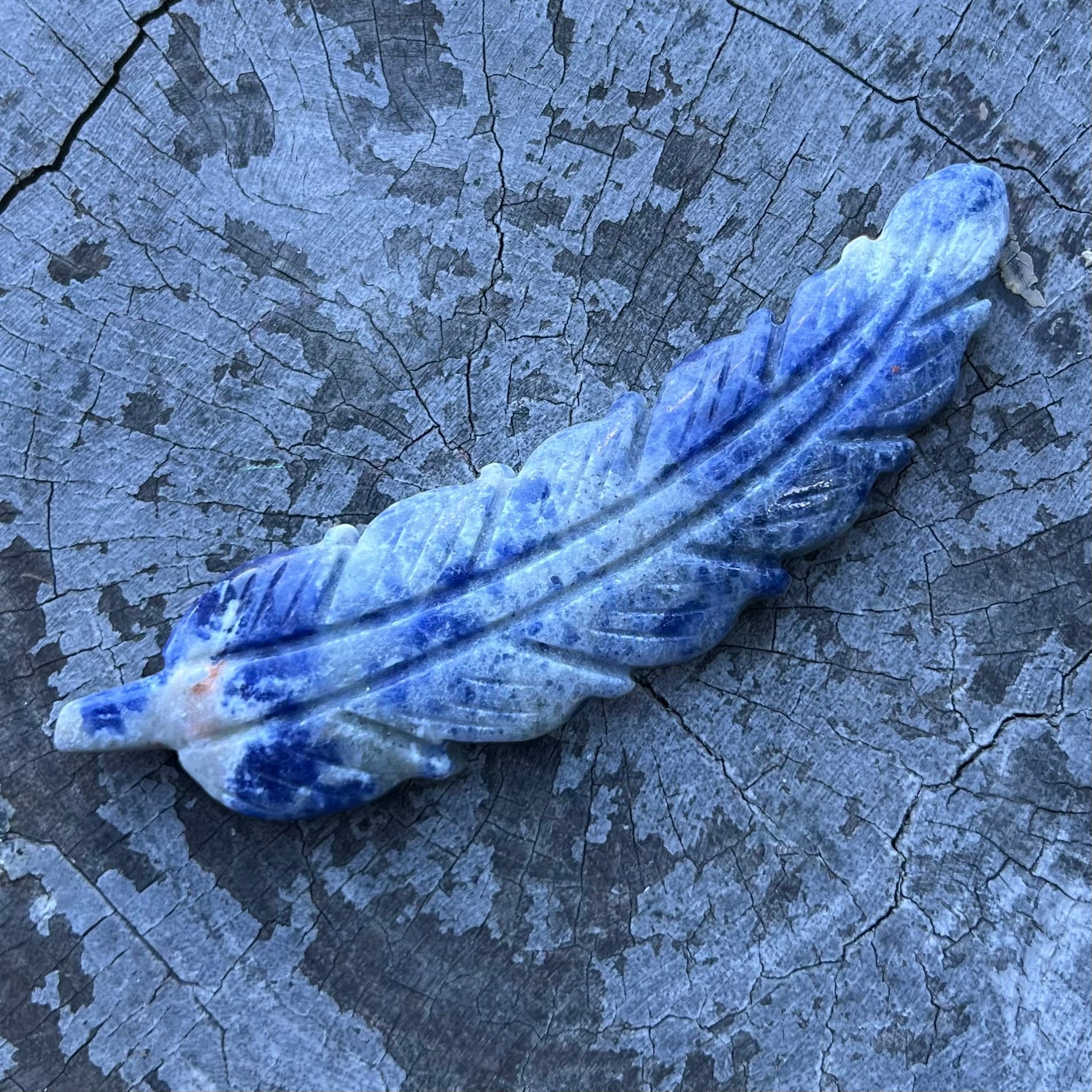 Feather of Intuition & Inner Truth ~ Sodalite