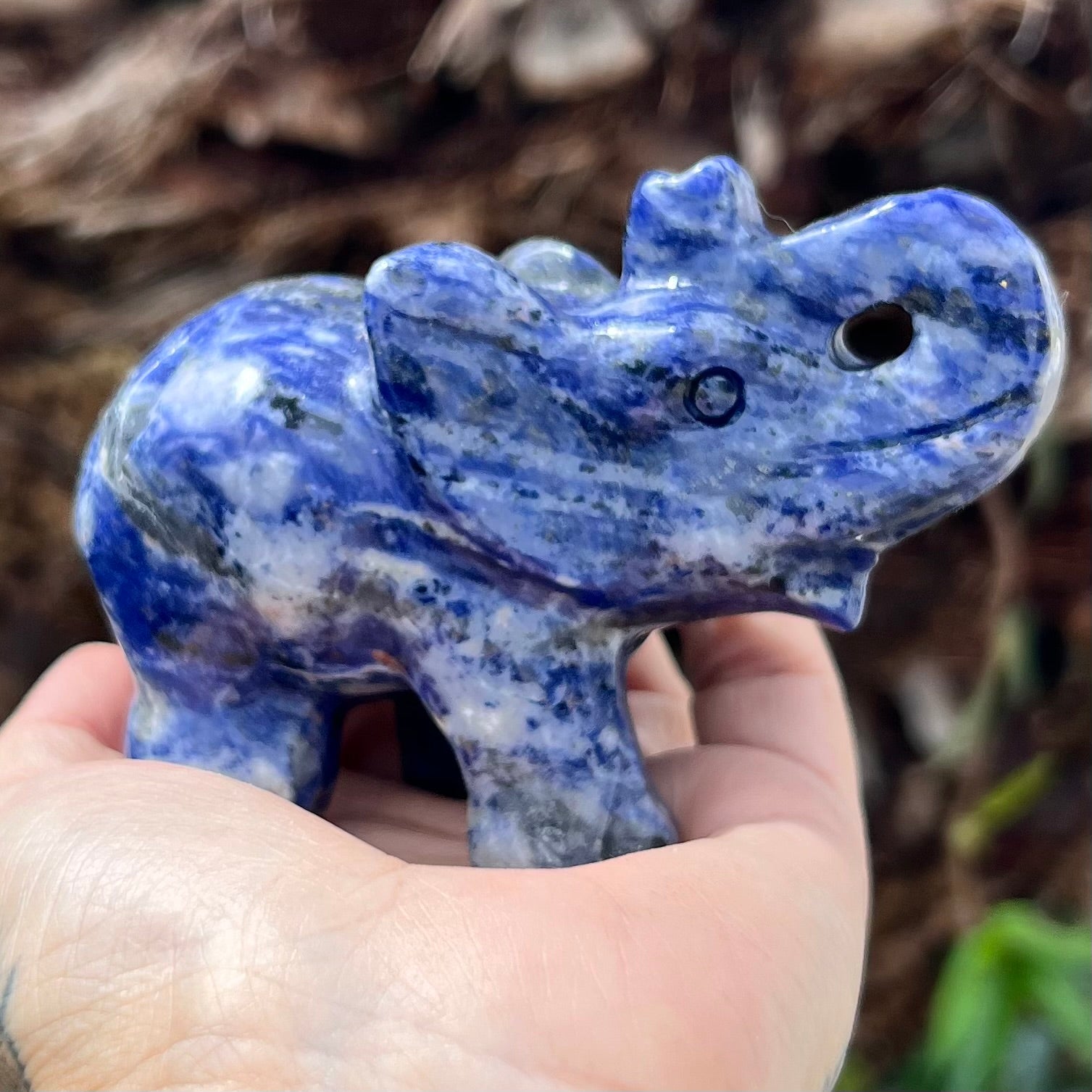 Lucky Elephant ~ Sodalite