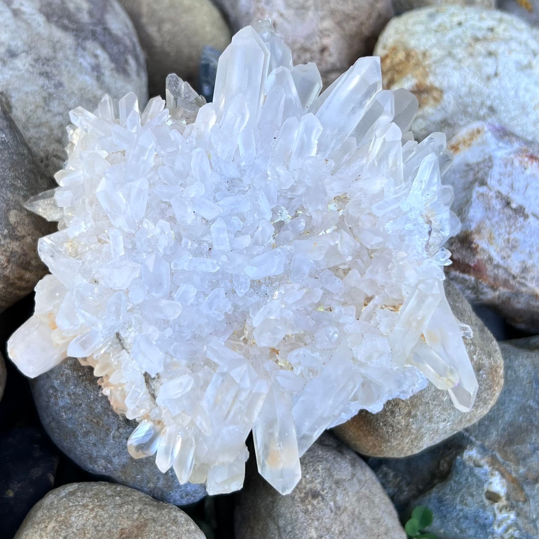Spiritual Journey ~ Madagascar Quartz Cluster