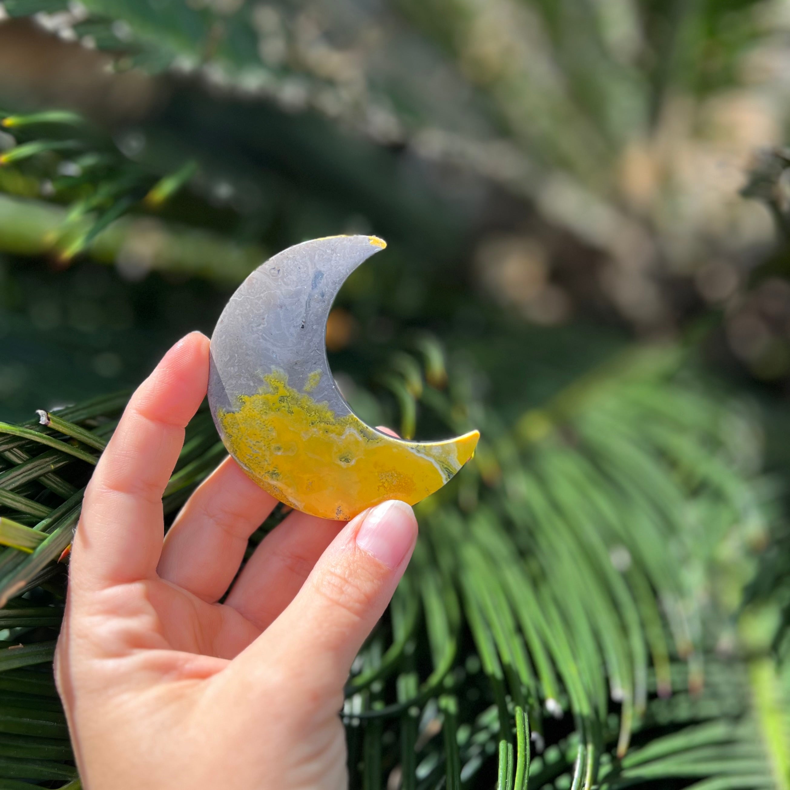Bumble Bee Jasper Crescent Moon Carving