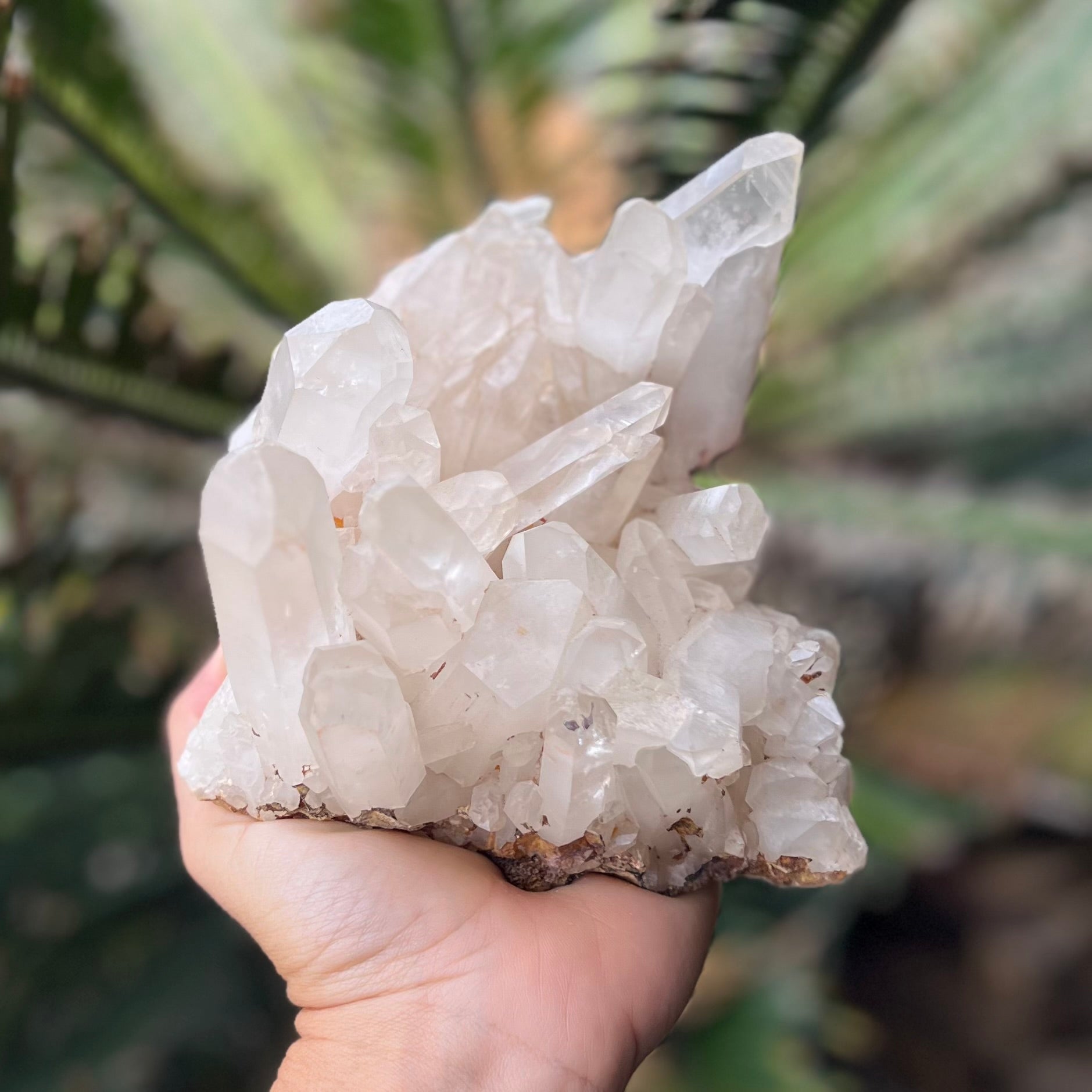 Clear Quartz Cluster