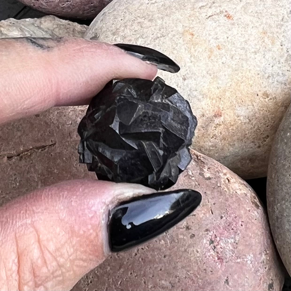 Black Fluorite ~ Specialty Boxed Crystal