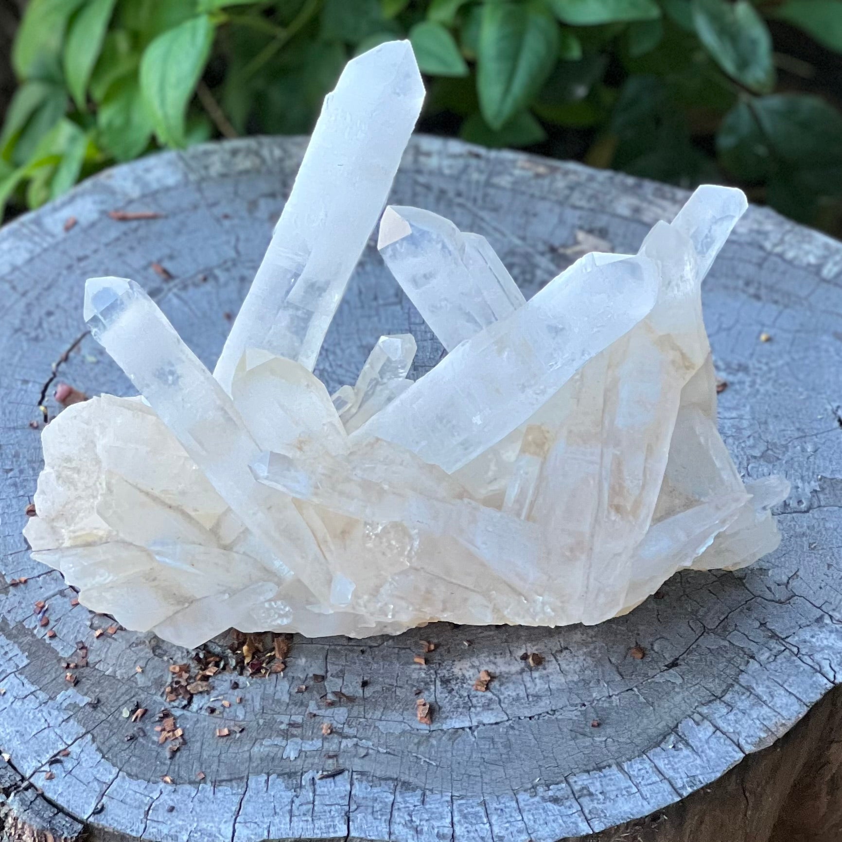 Clear Quartz Raw Cluster