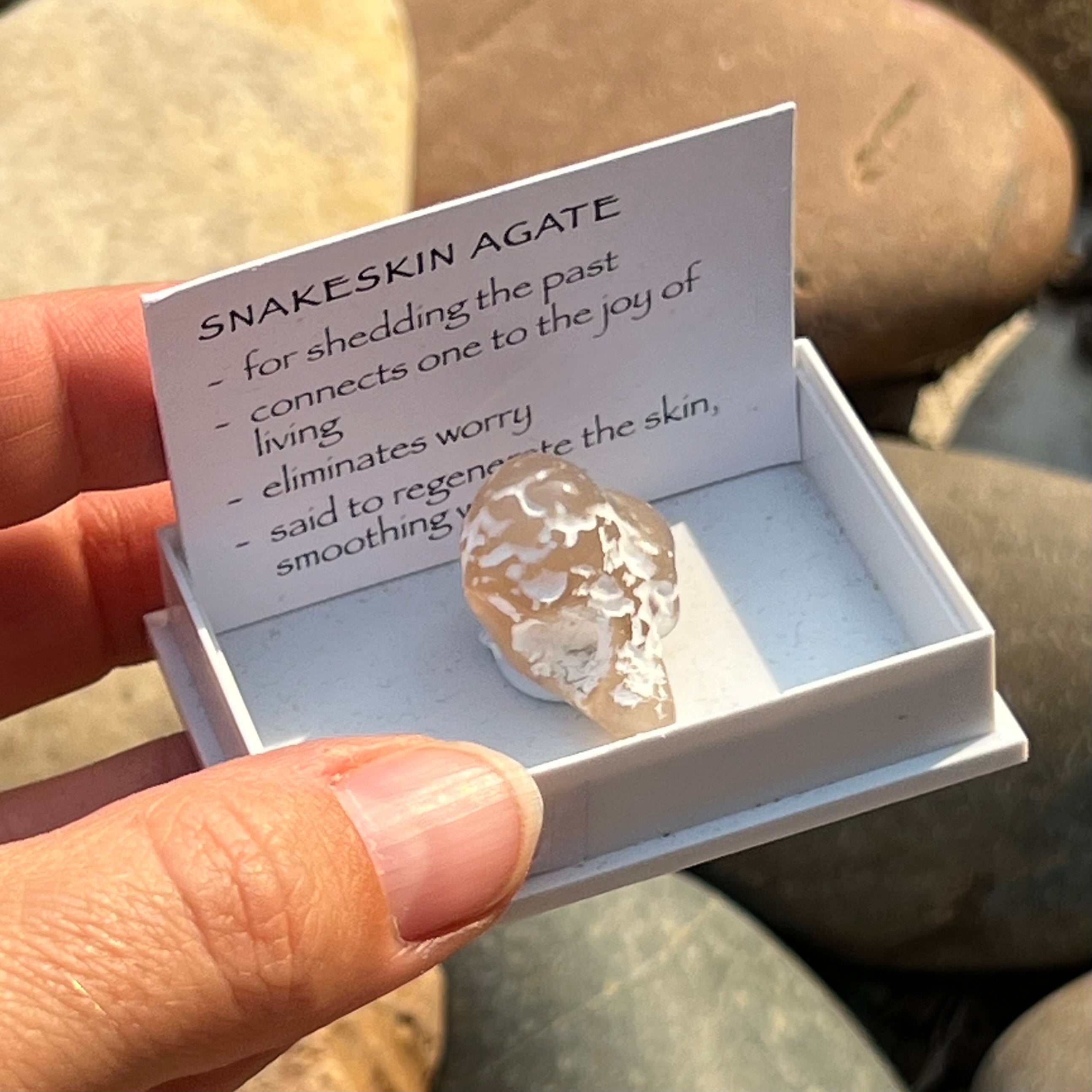 Snake Skin Agate ~ Specialty Boxed Crystal