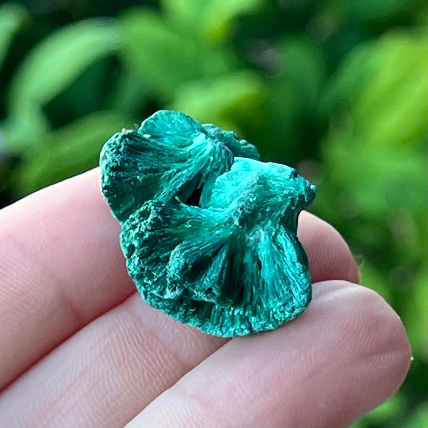 Malachite ~ Specialty Boxed Crystal