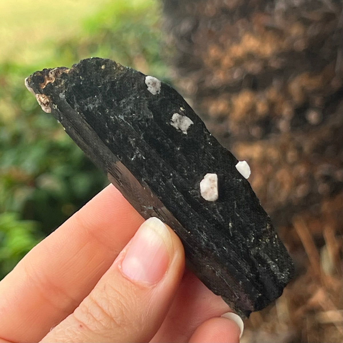 Black Tourmaline Specimen