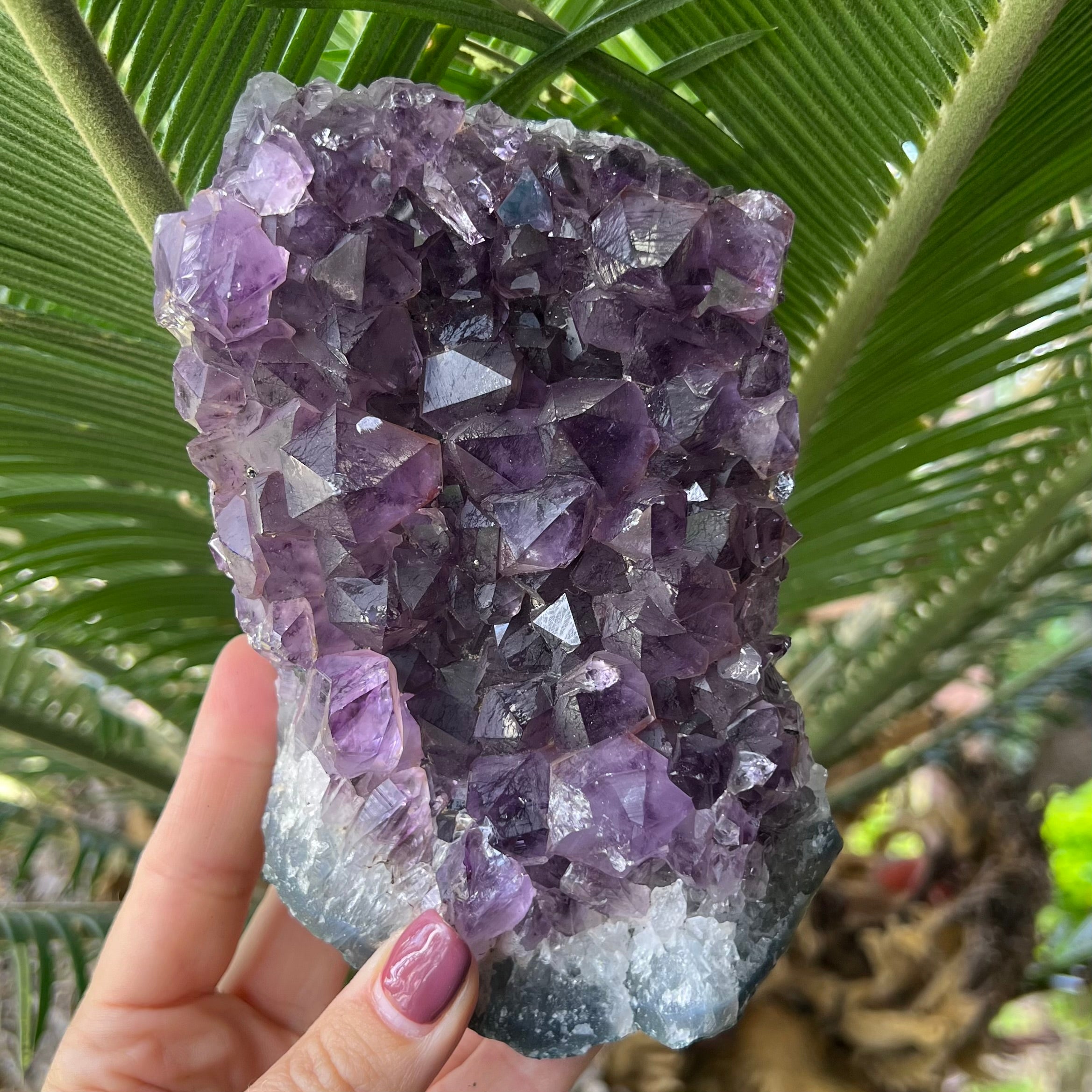 Amethyst Cluster