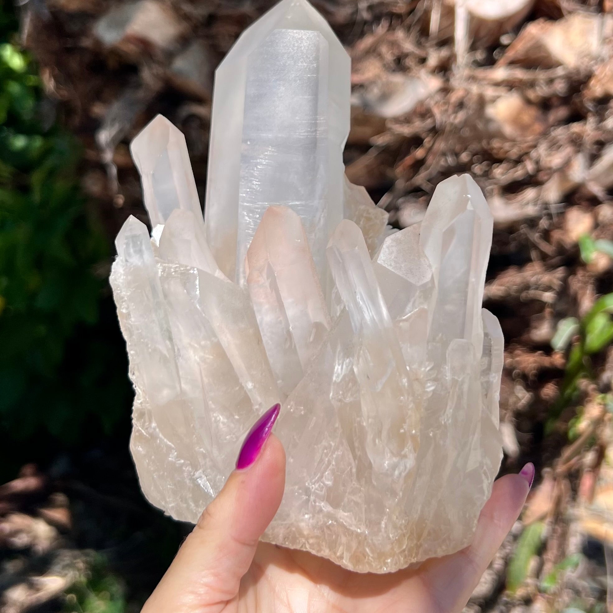 Raw Clear Quartz Natural Cluster of Points