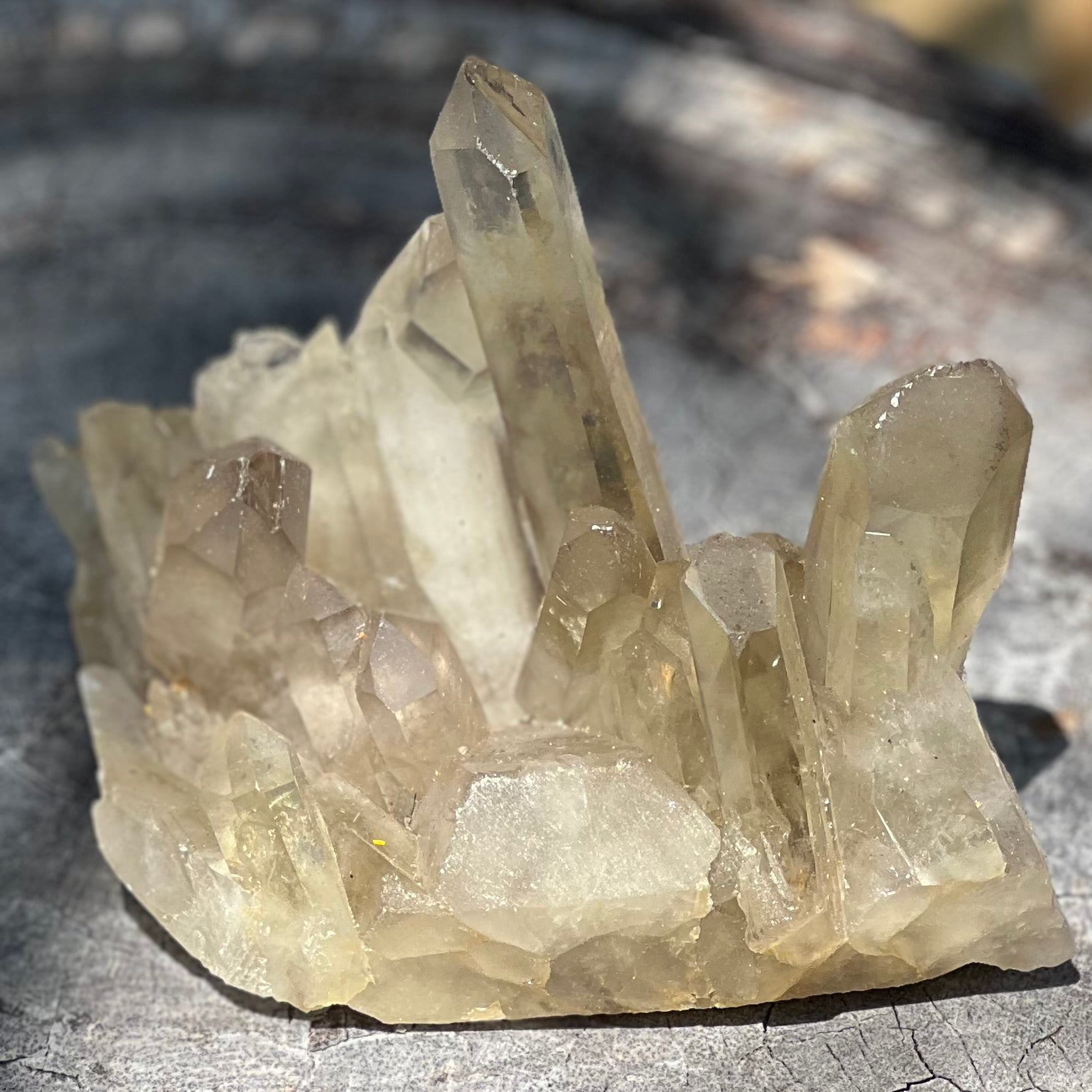 Smoky Citrine Natural Raw Cluster