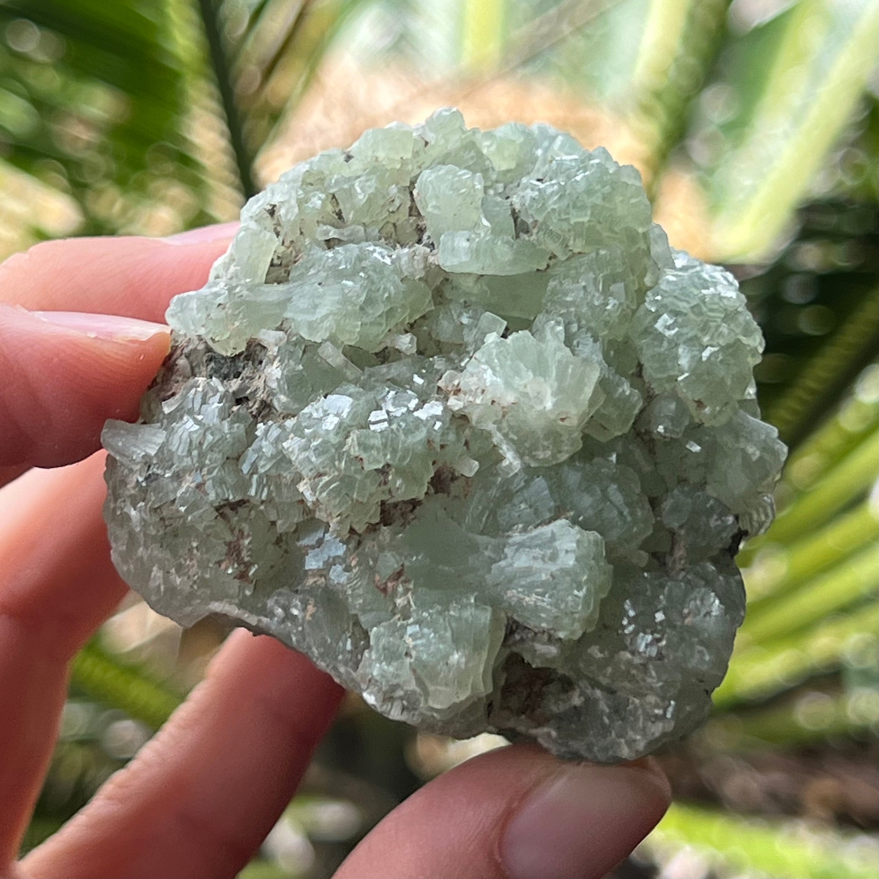 Prehnite Specimen