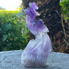Amethyst Peacock