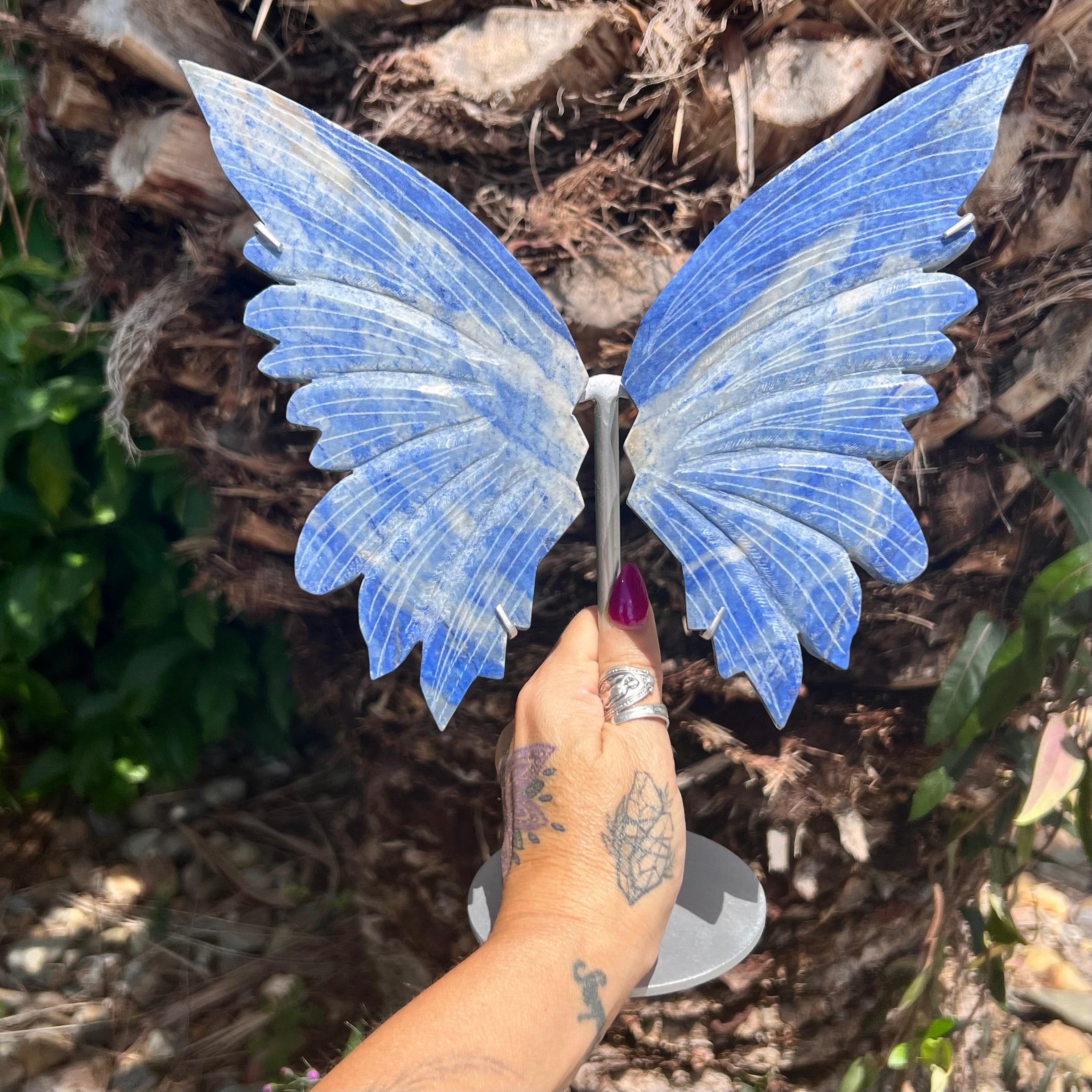 Sodalite Butterfly on Stand