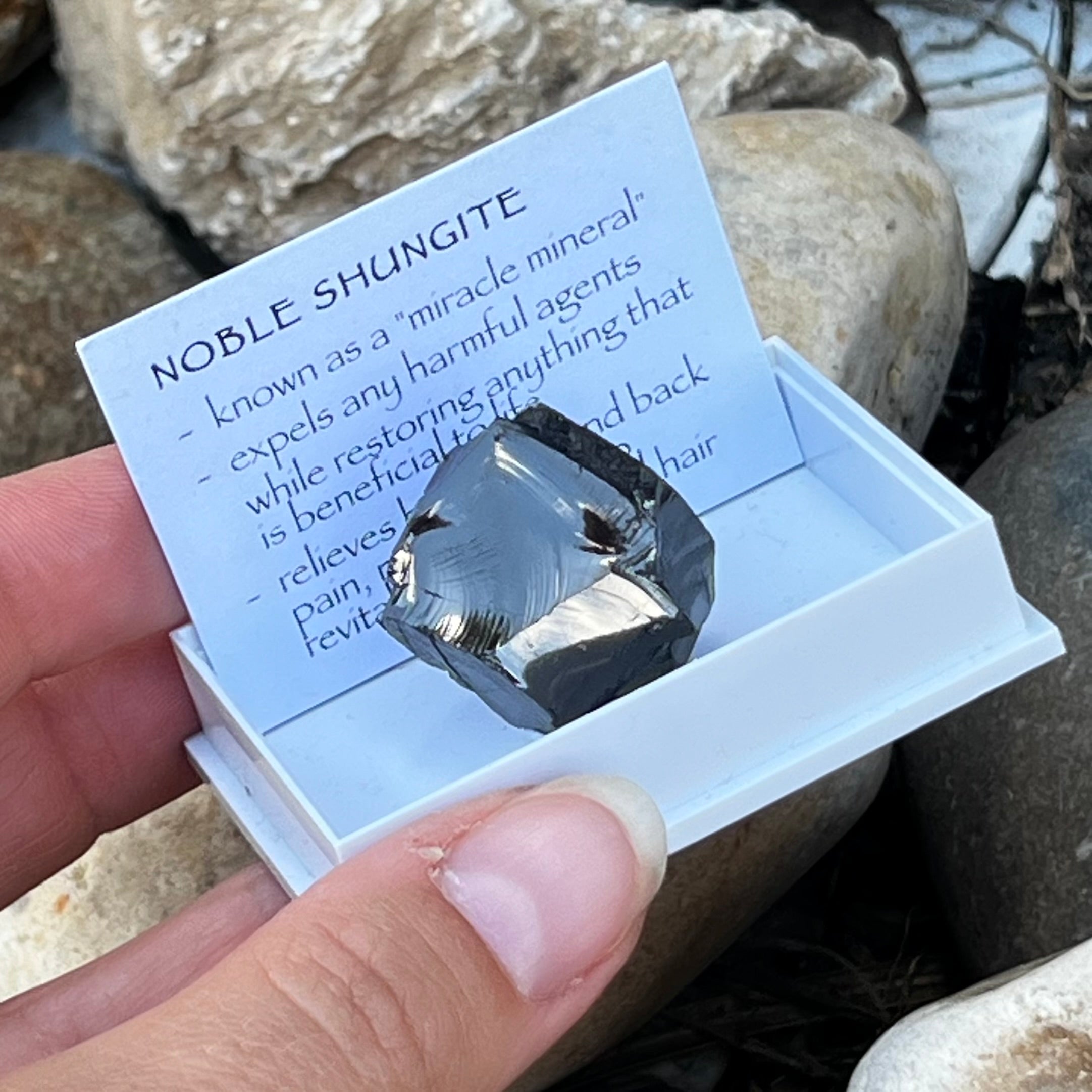 Noble Shungite ~ Specialty Boxed Crystal