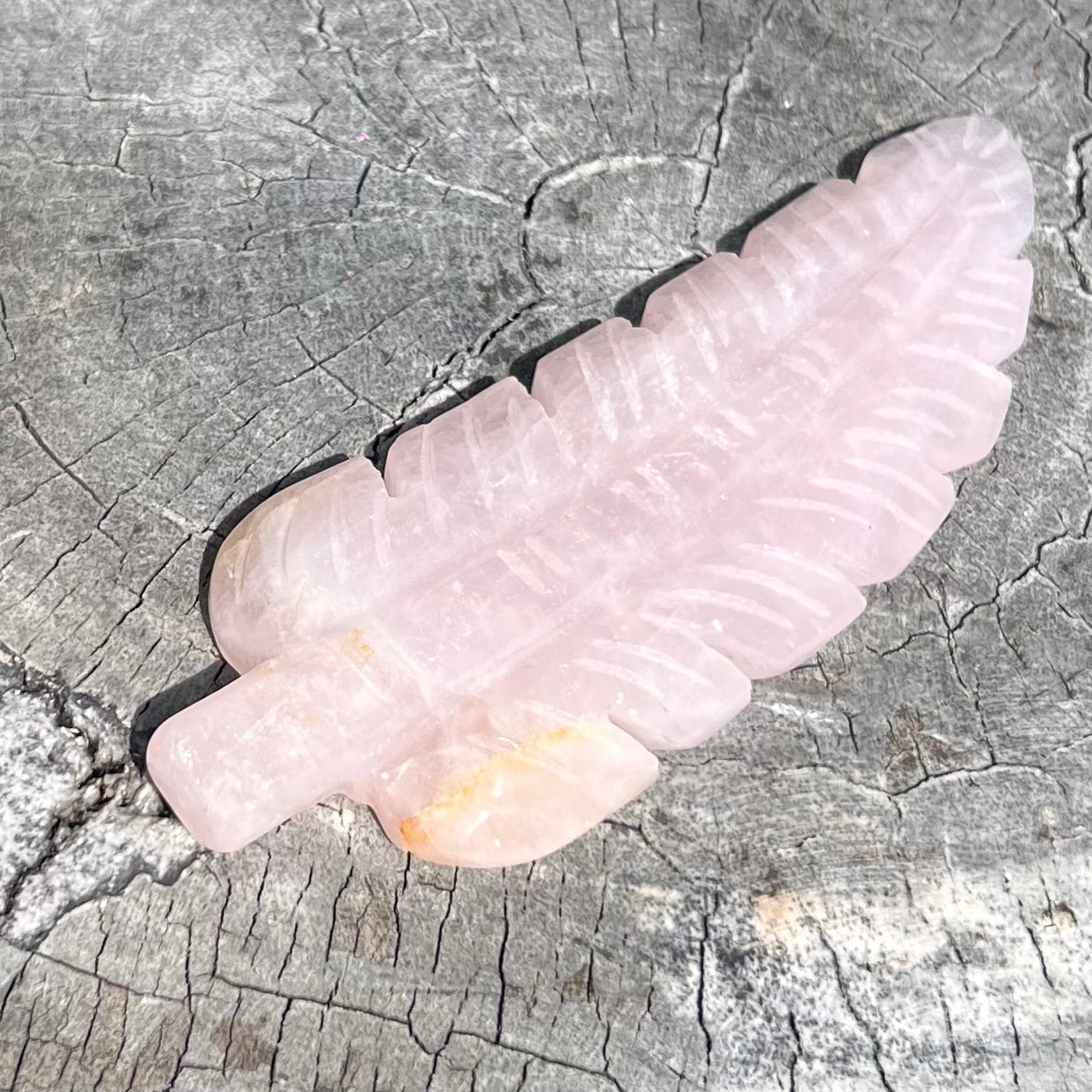 Rose Quartz Feather of Love