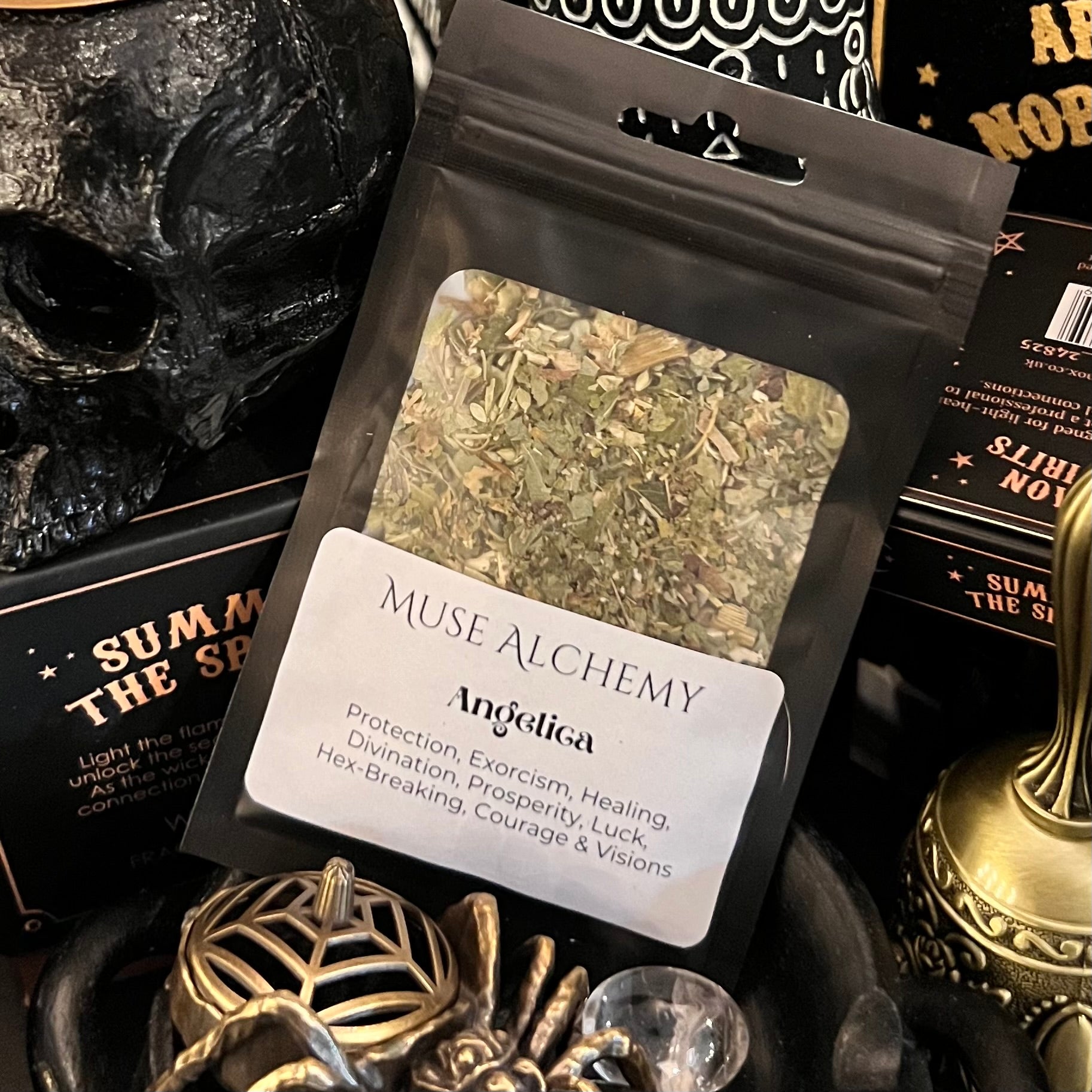 Angelica ~ Muse Alchemy Botanicals