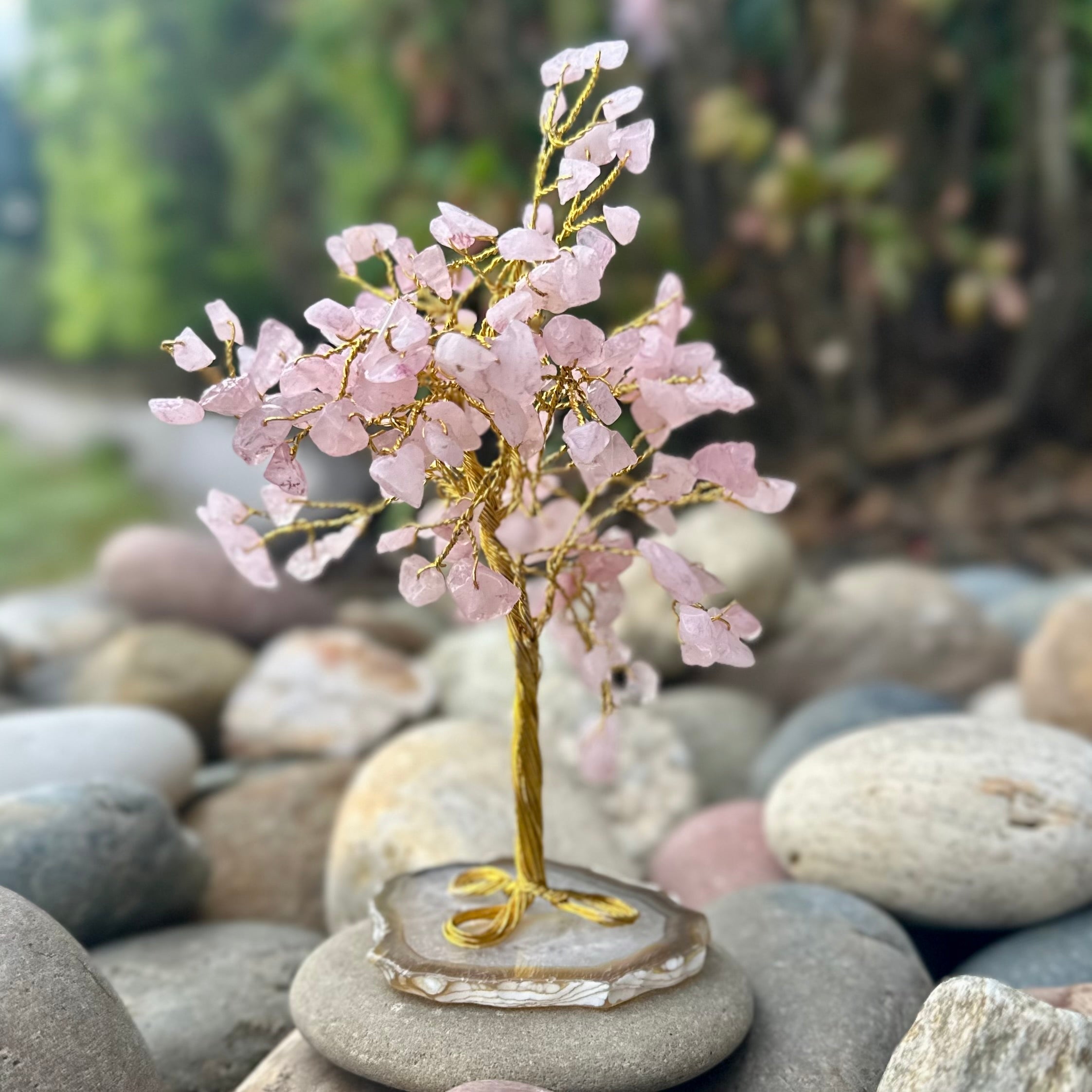 Rose Quartz ~ Loving Blessing Tree