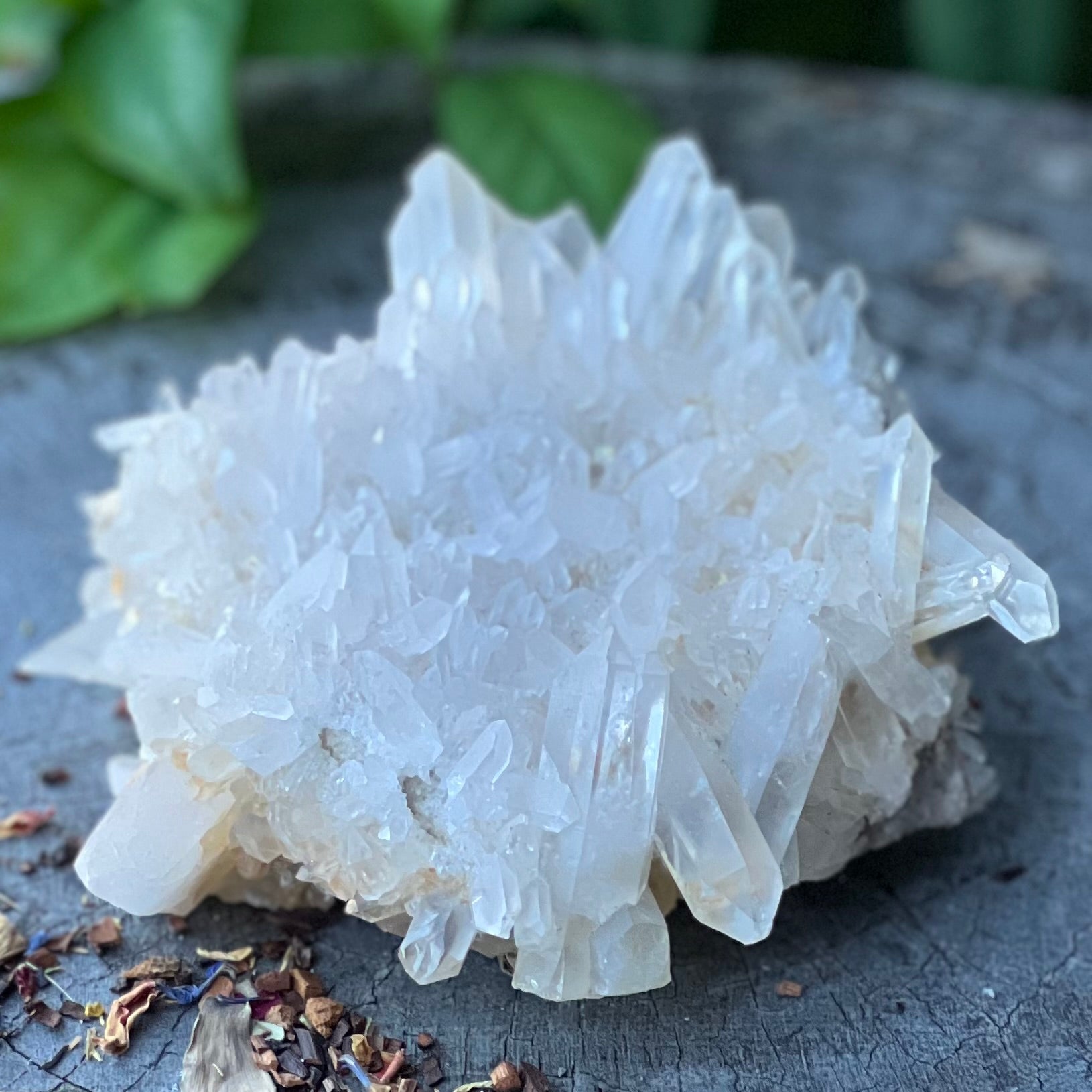 Spiritual Journey ~ Madagascar Quartz Cluster