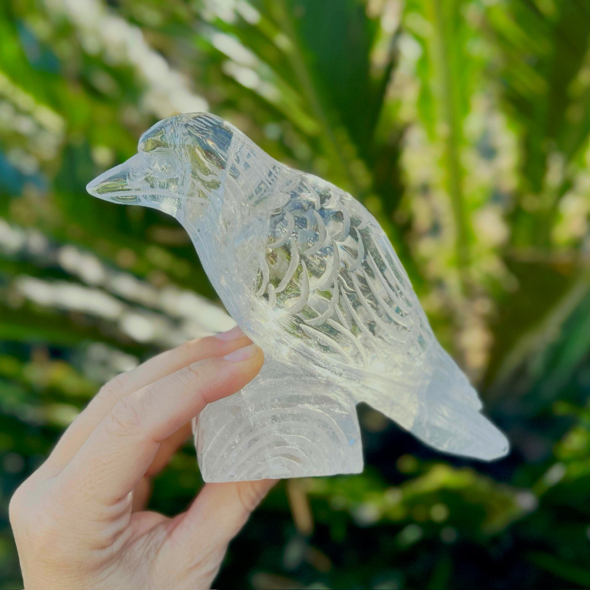 Raven Carving ~ Clear Quartz