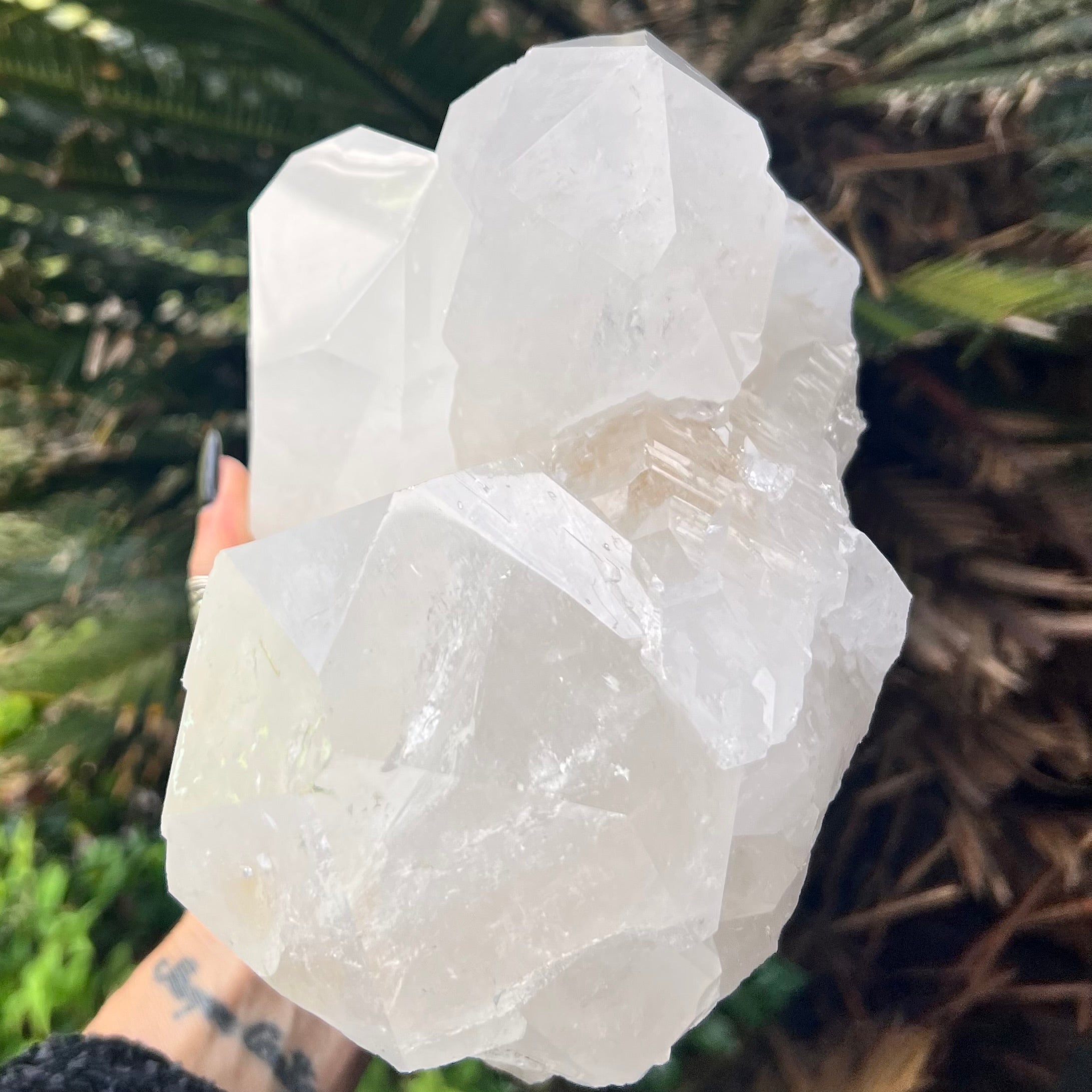 Triple Point Natural Clear Quartz Cluster Formation