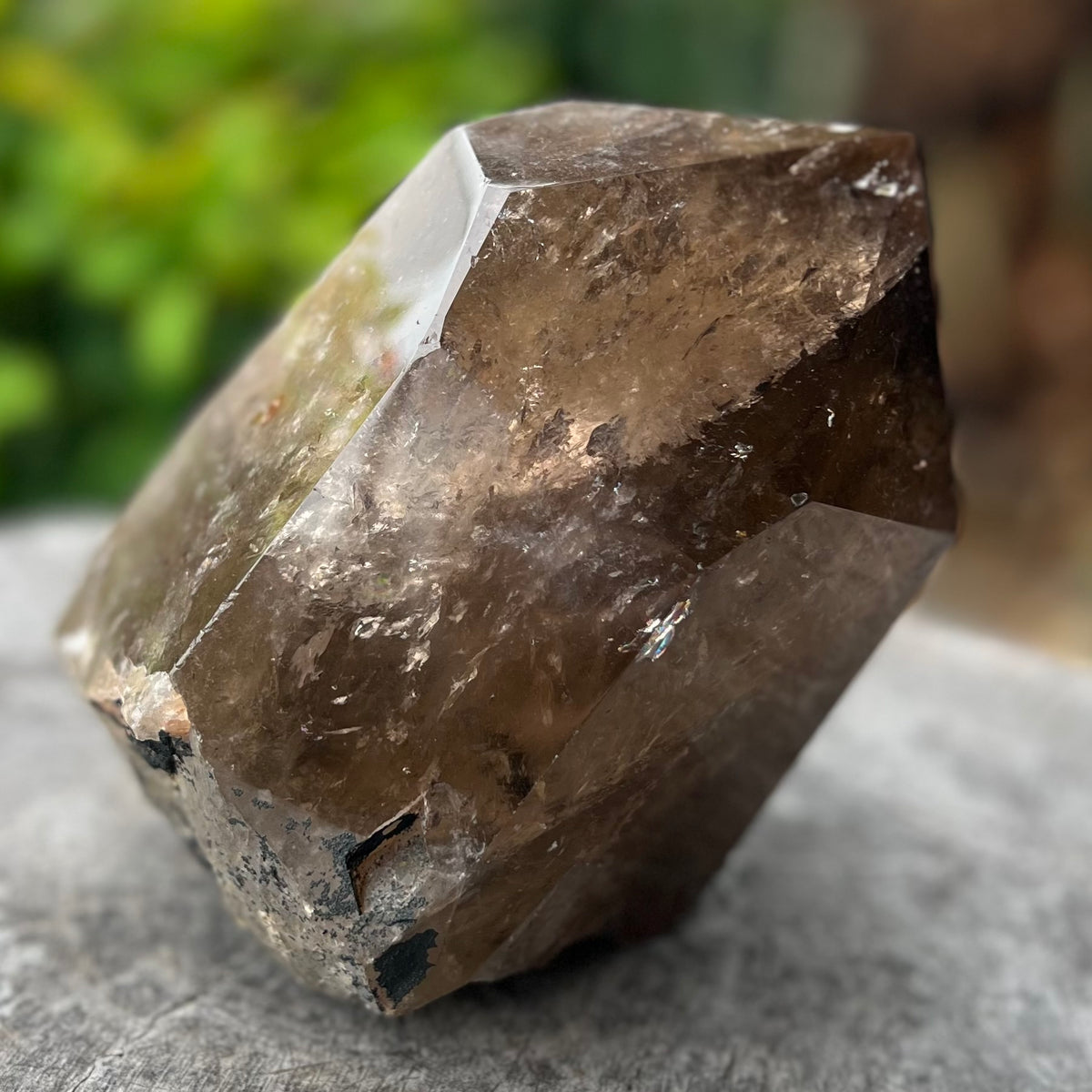 Incredible Natural Semi Raw Smokey Point