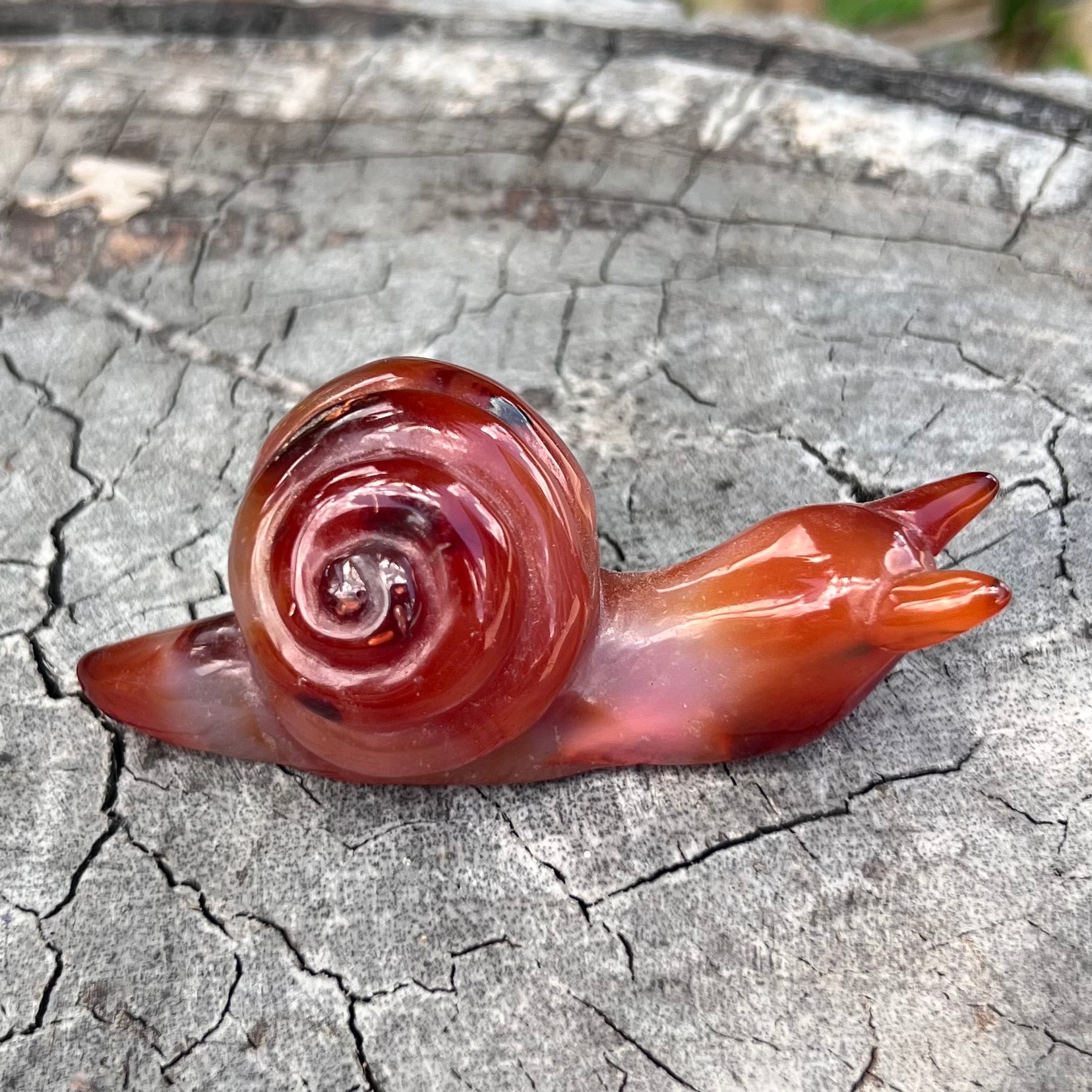 Carnelian ~ Snail of Courage