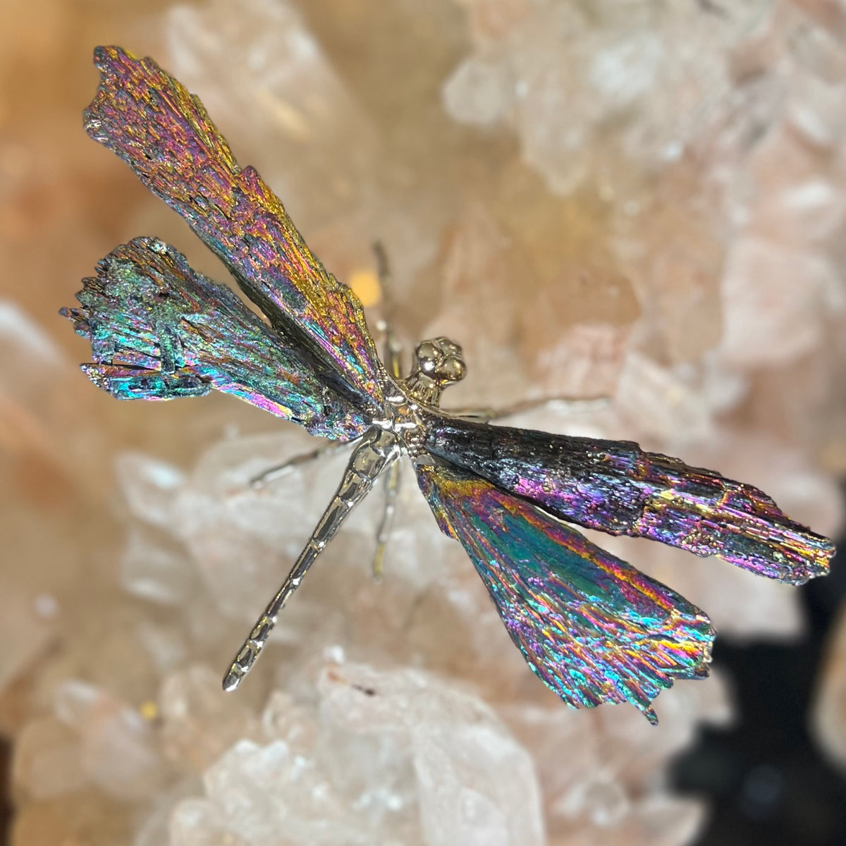 Dragon Fly ~ Rainbow Kyanite Electroplate