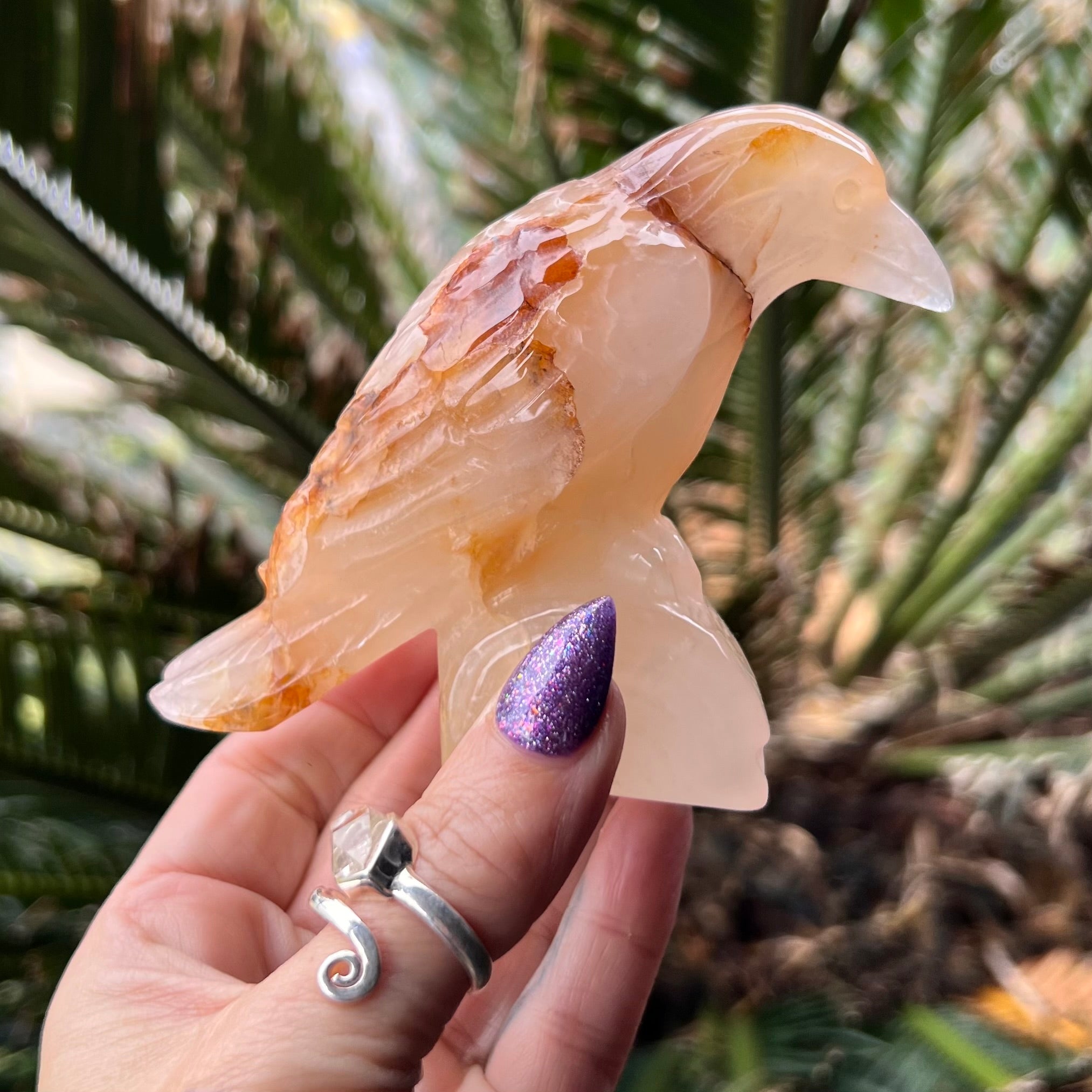 Raven Carving ~ Golden Healer
